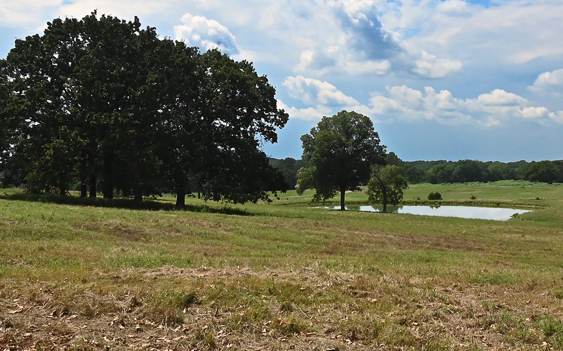 104001 S 4480 Road Property Photo 71