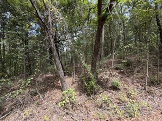 0000 E Arkansas Property Photo 3