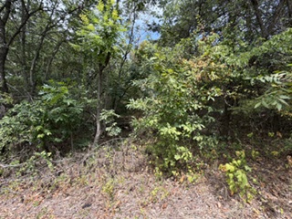 0000 E Arkansas Property Photo 4