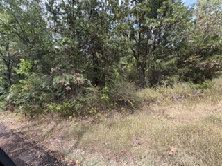 0000 E Arkansas Property Photo 5