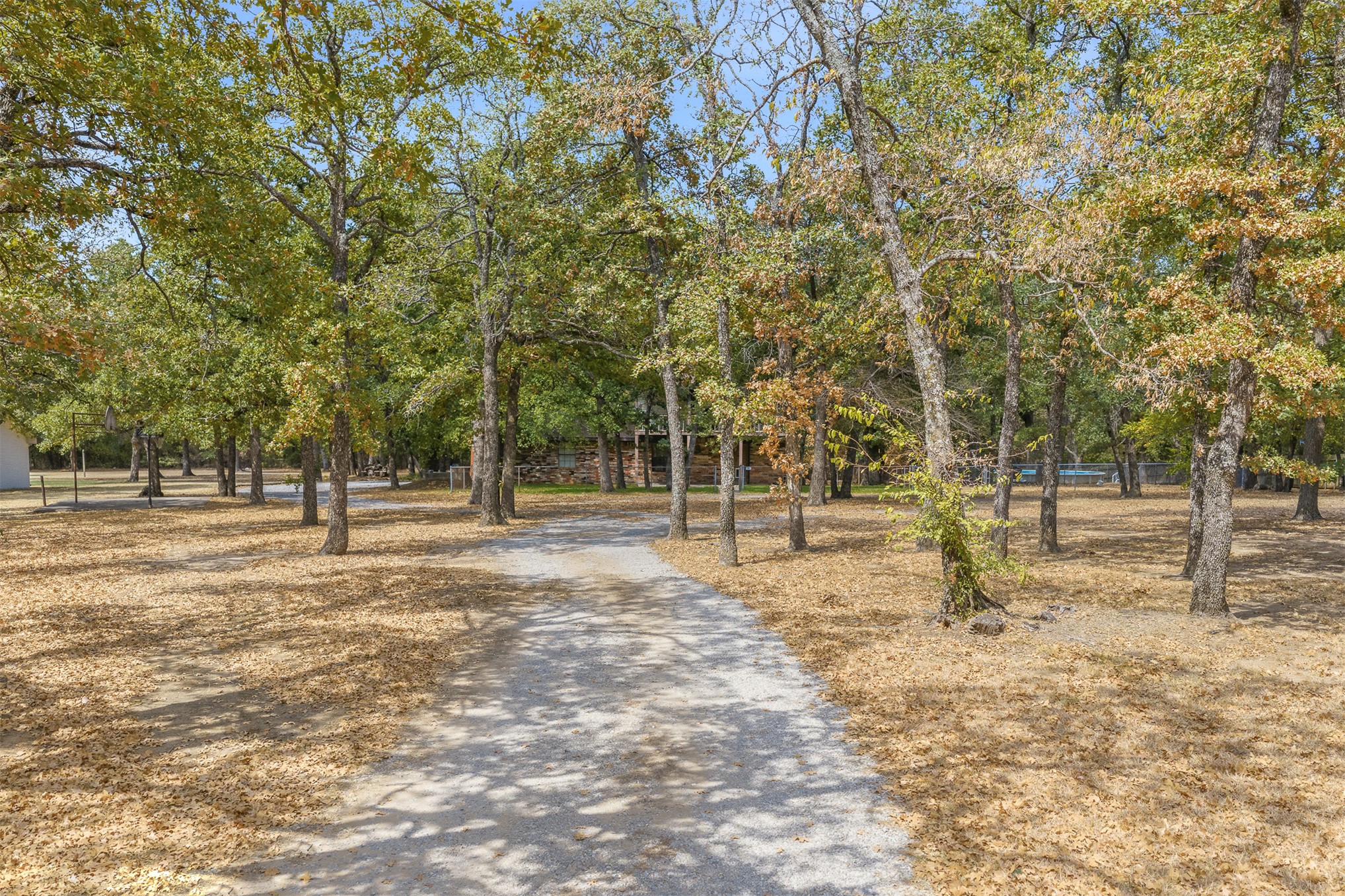 177 Fork Property Photo 38