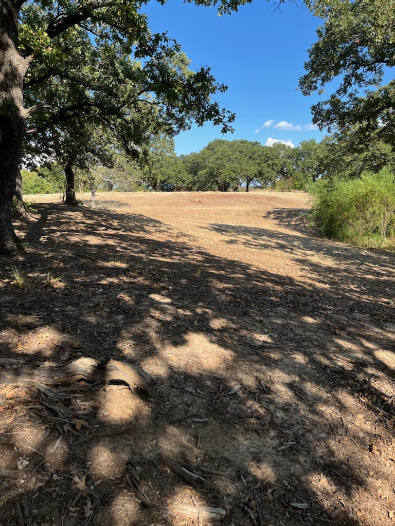 Hwy 177 Property Photo 5