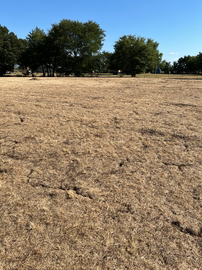 Hwy 177 Property Photo 6