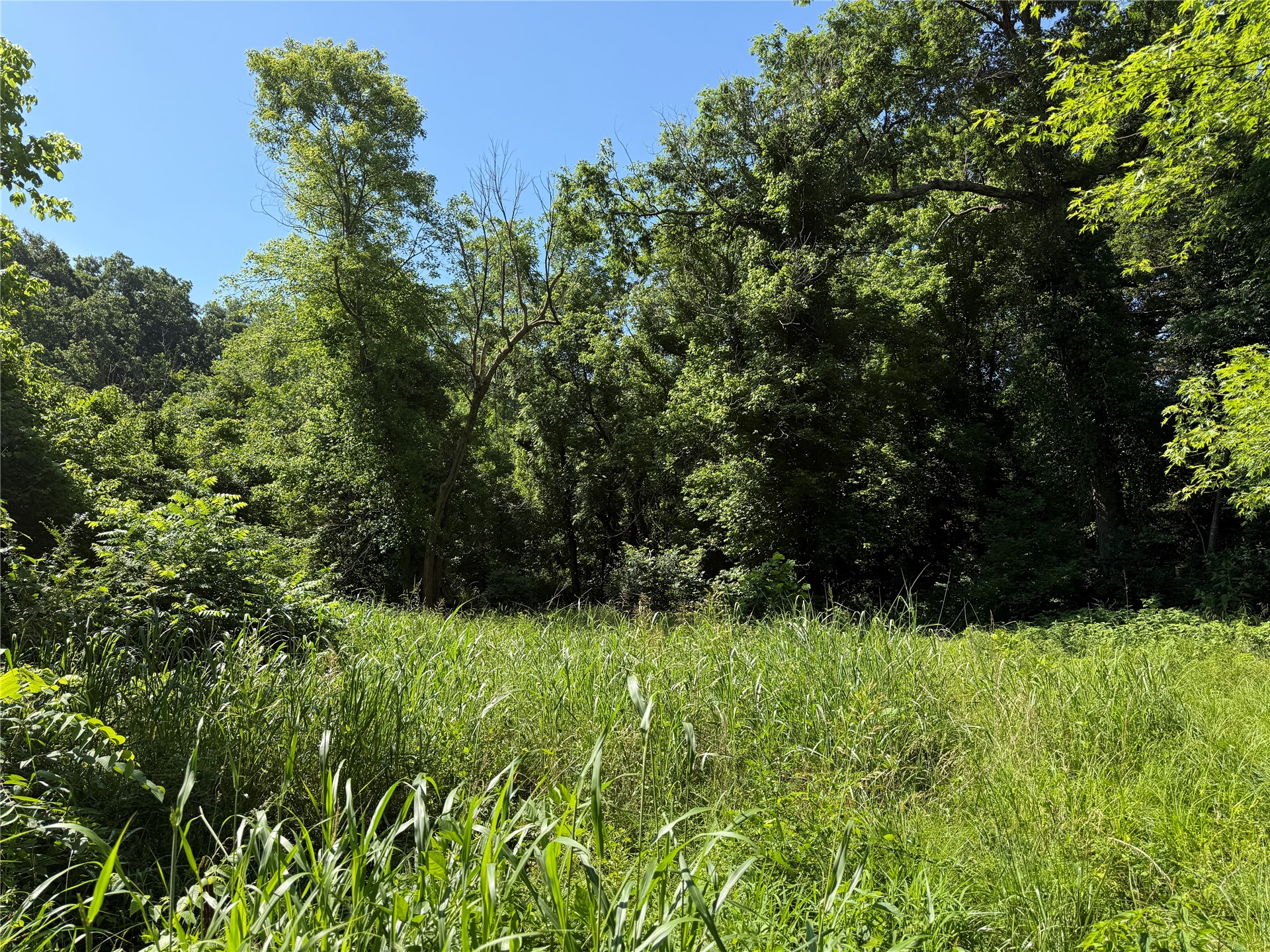 2633430 Property Photo 22