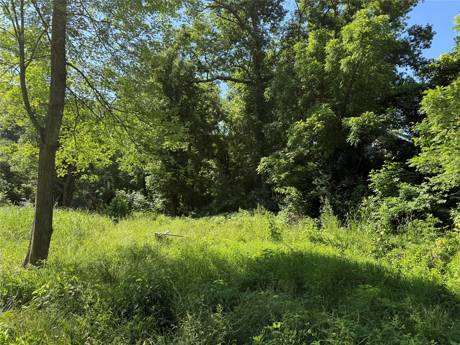 2633430 Property Photo 23