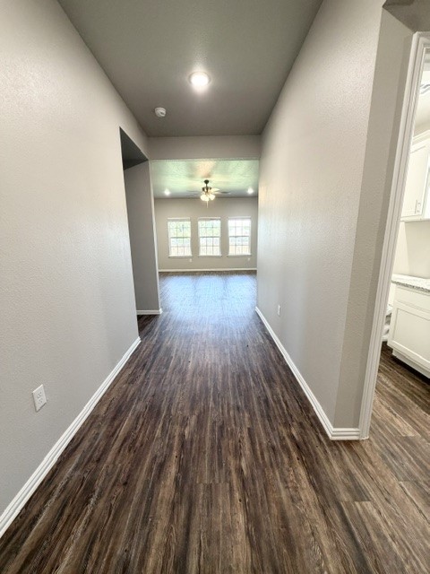 3138 Seabiscuit Property Photo 2