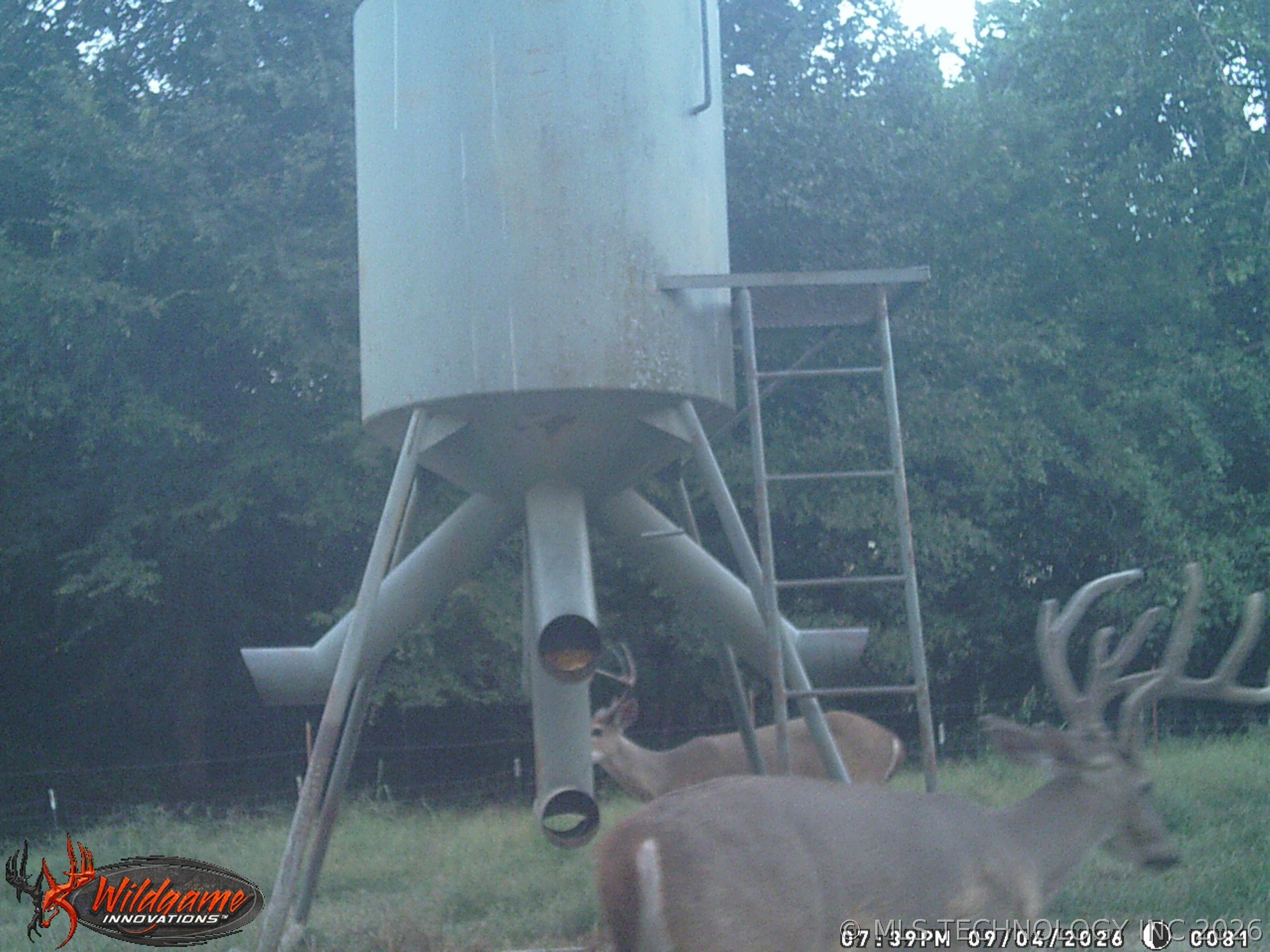 8450 Hwy 56 Highway Property Photo 65