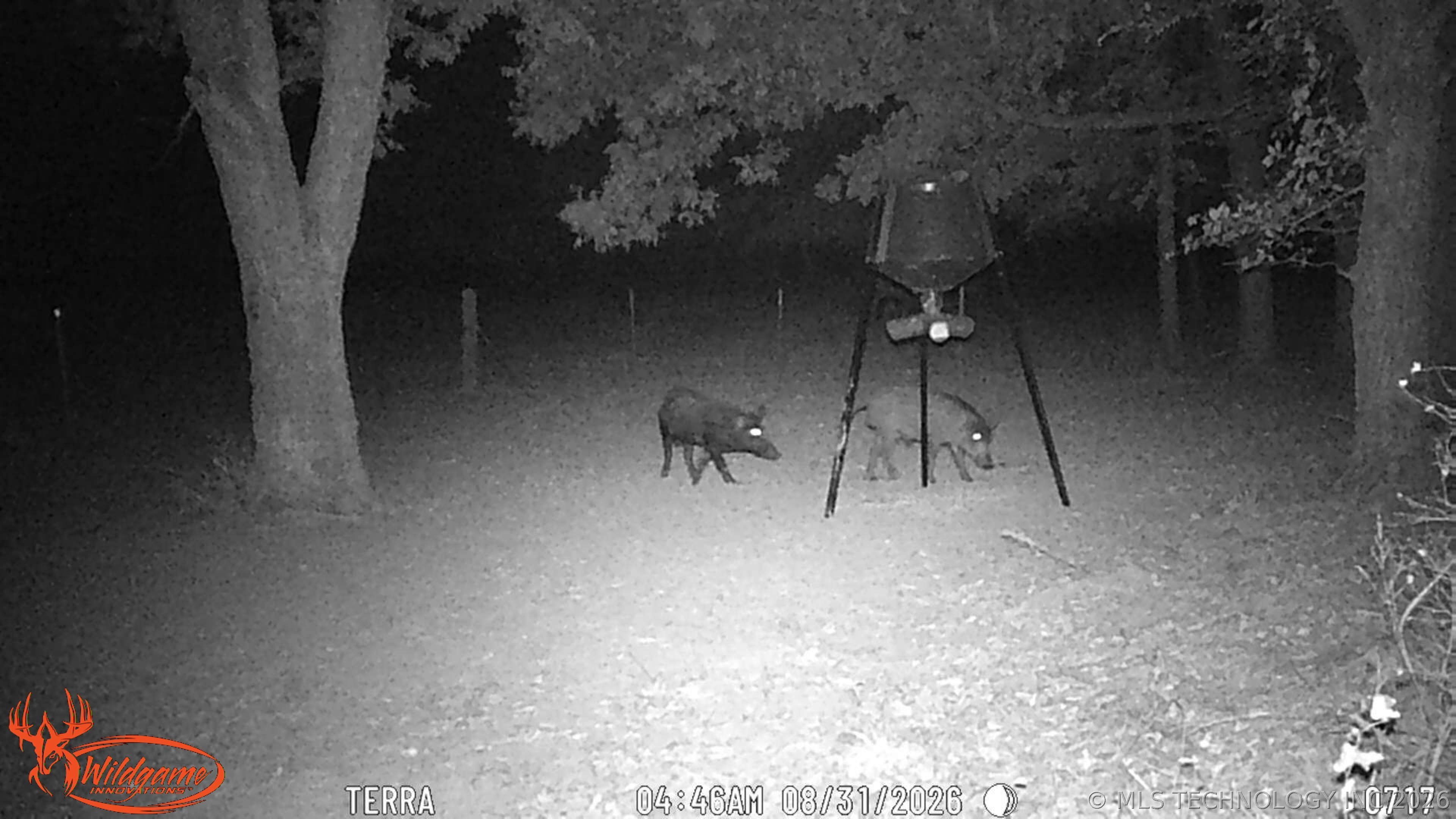 8450 Hwy 56 Highway Property Photo 67