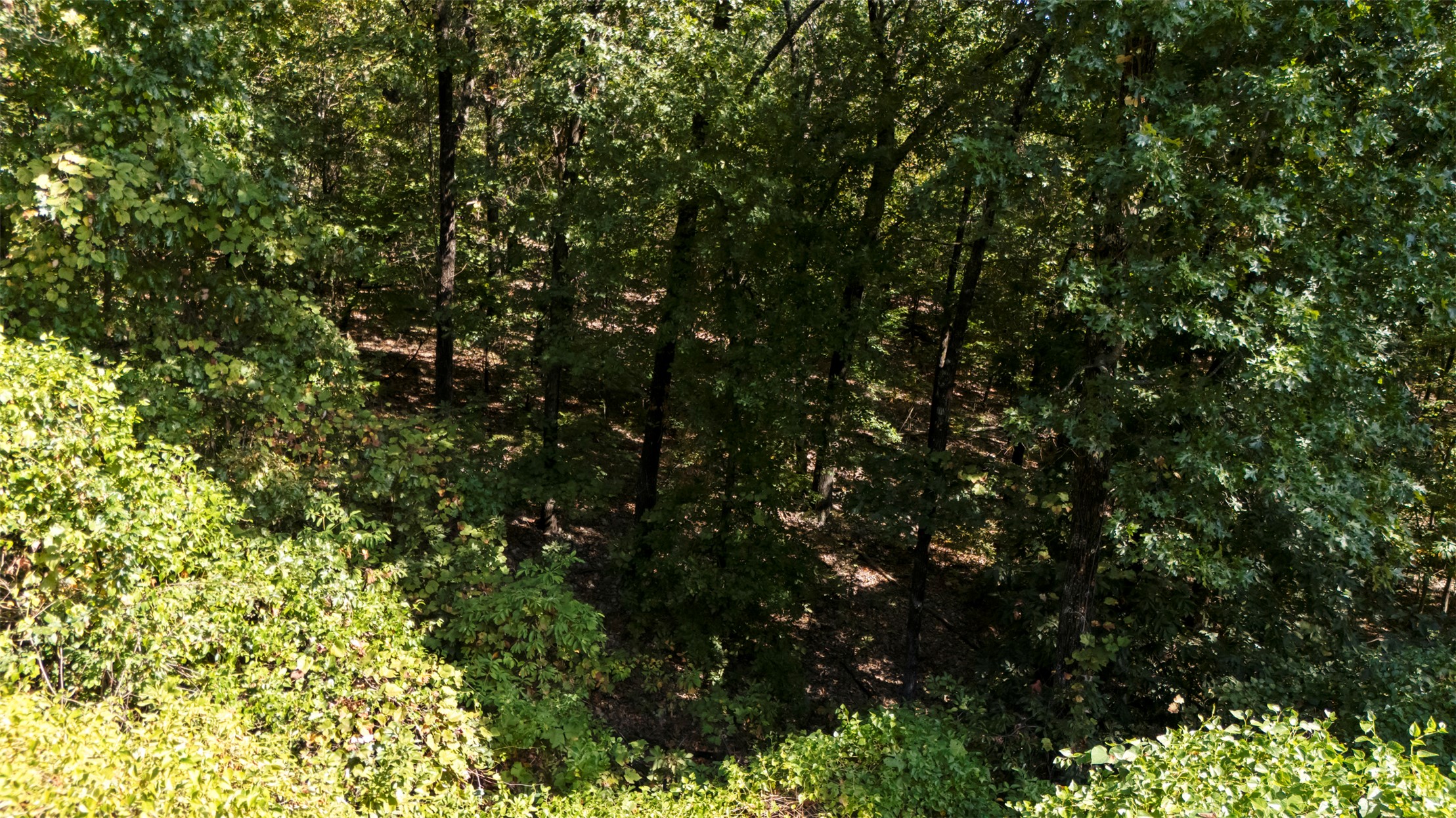 54201 Pin Oak Circle Property Photo 10