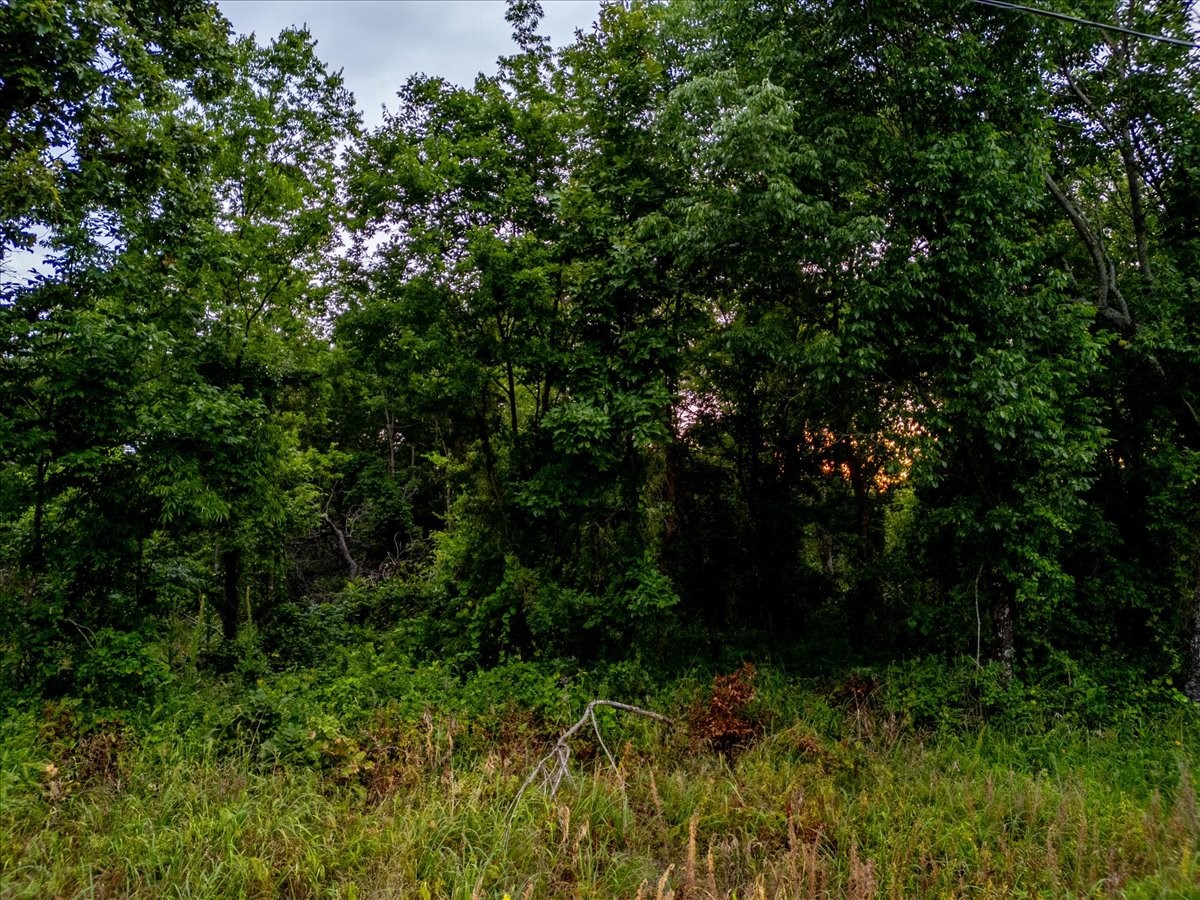 1 E Davis Field Road Property Photo 23