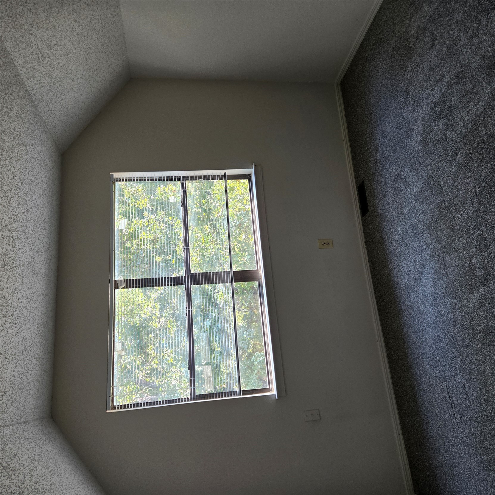 211 Antry Drive Property Photo 23