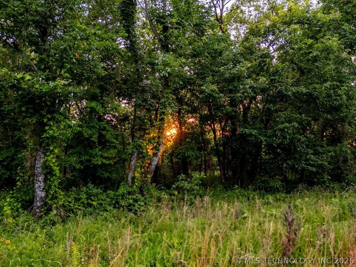 3 E Davis Field Road Property Photo 6