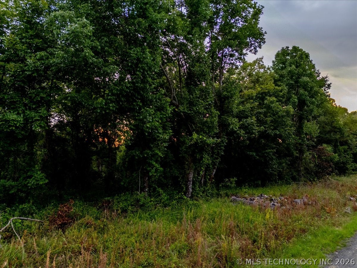 3 E Davis Field Road Property Photo 22