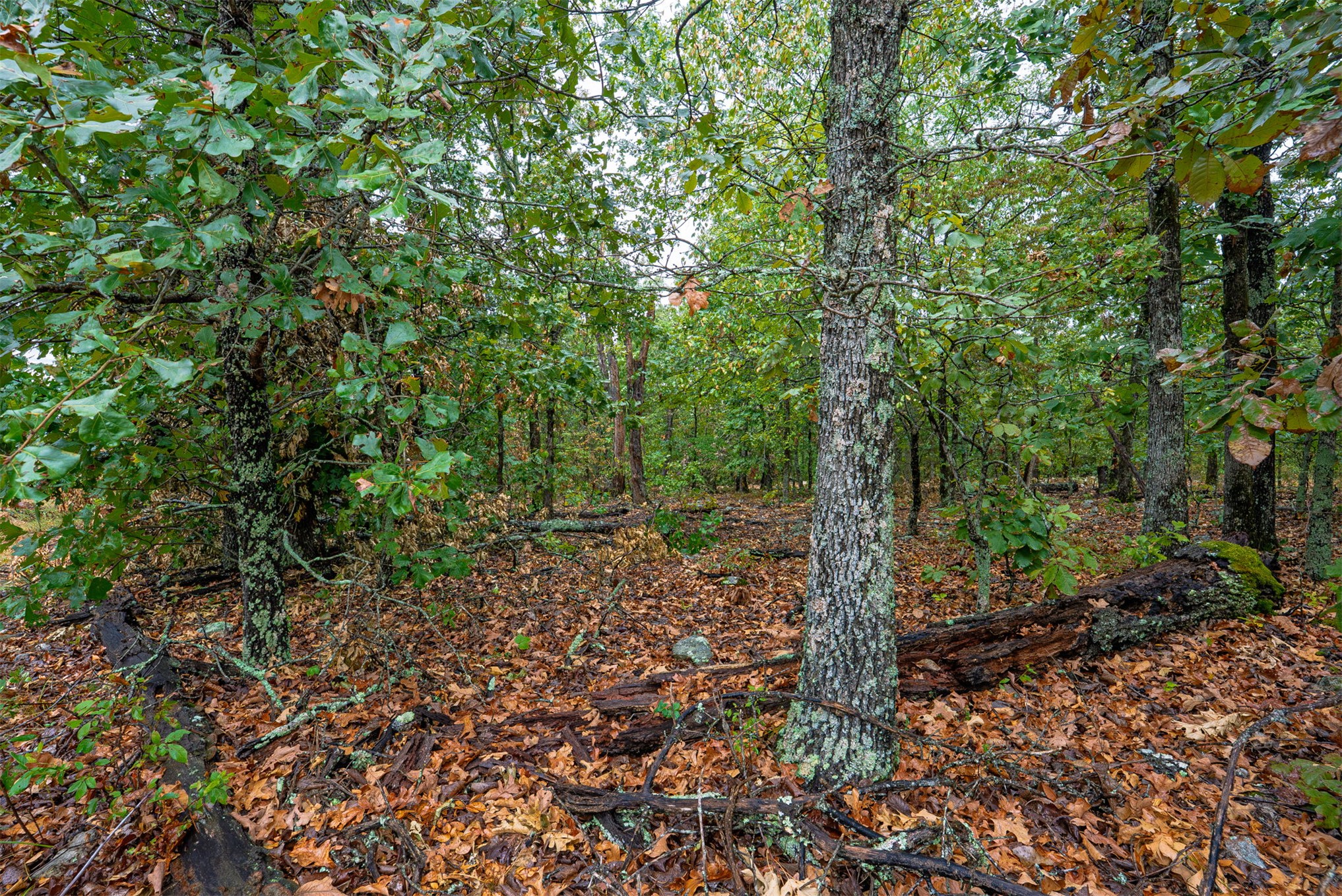 20 E 804 Road Property Photo 8