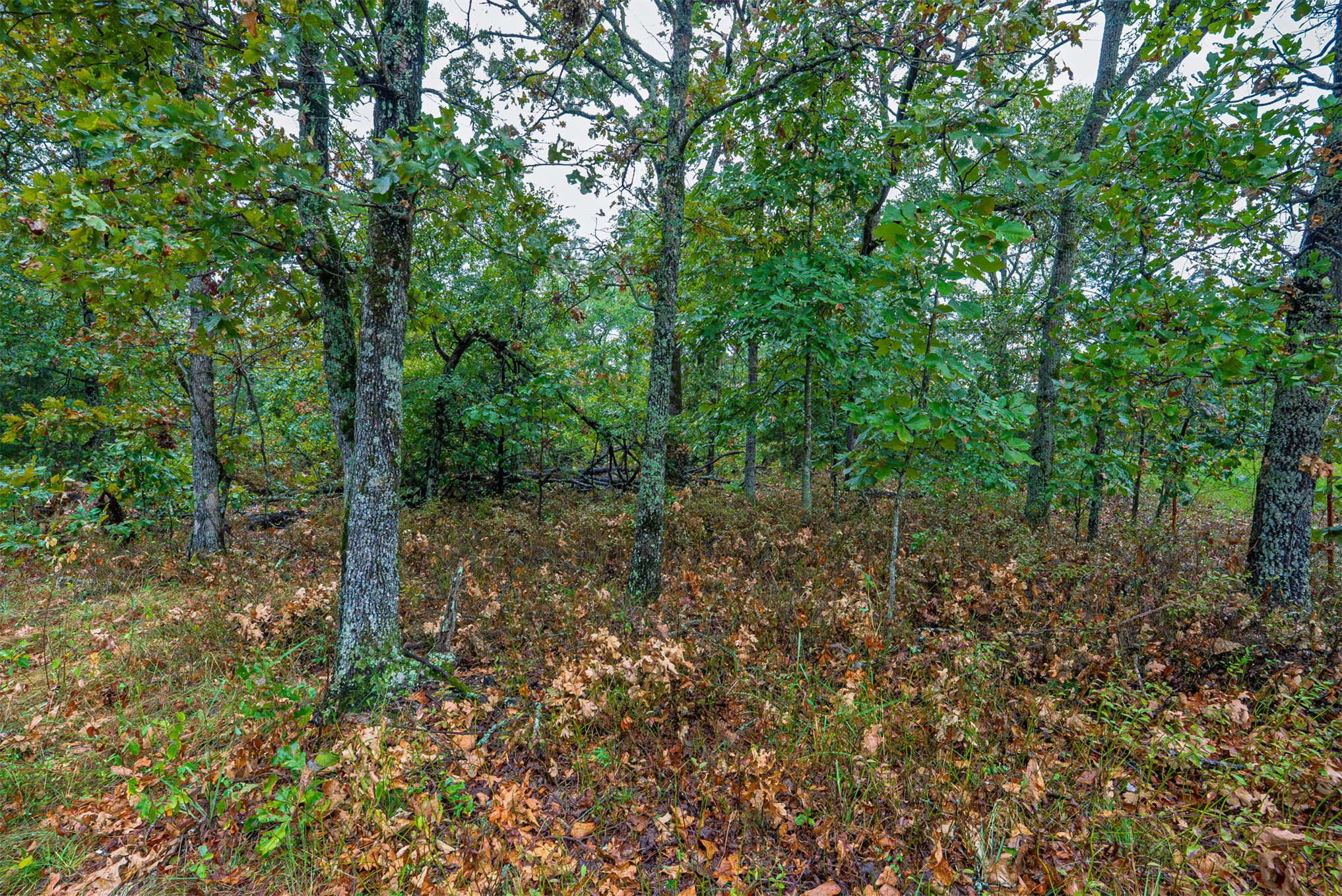 20 E 804 Road Property Photo 14