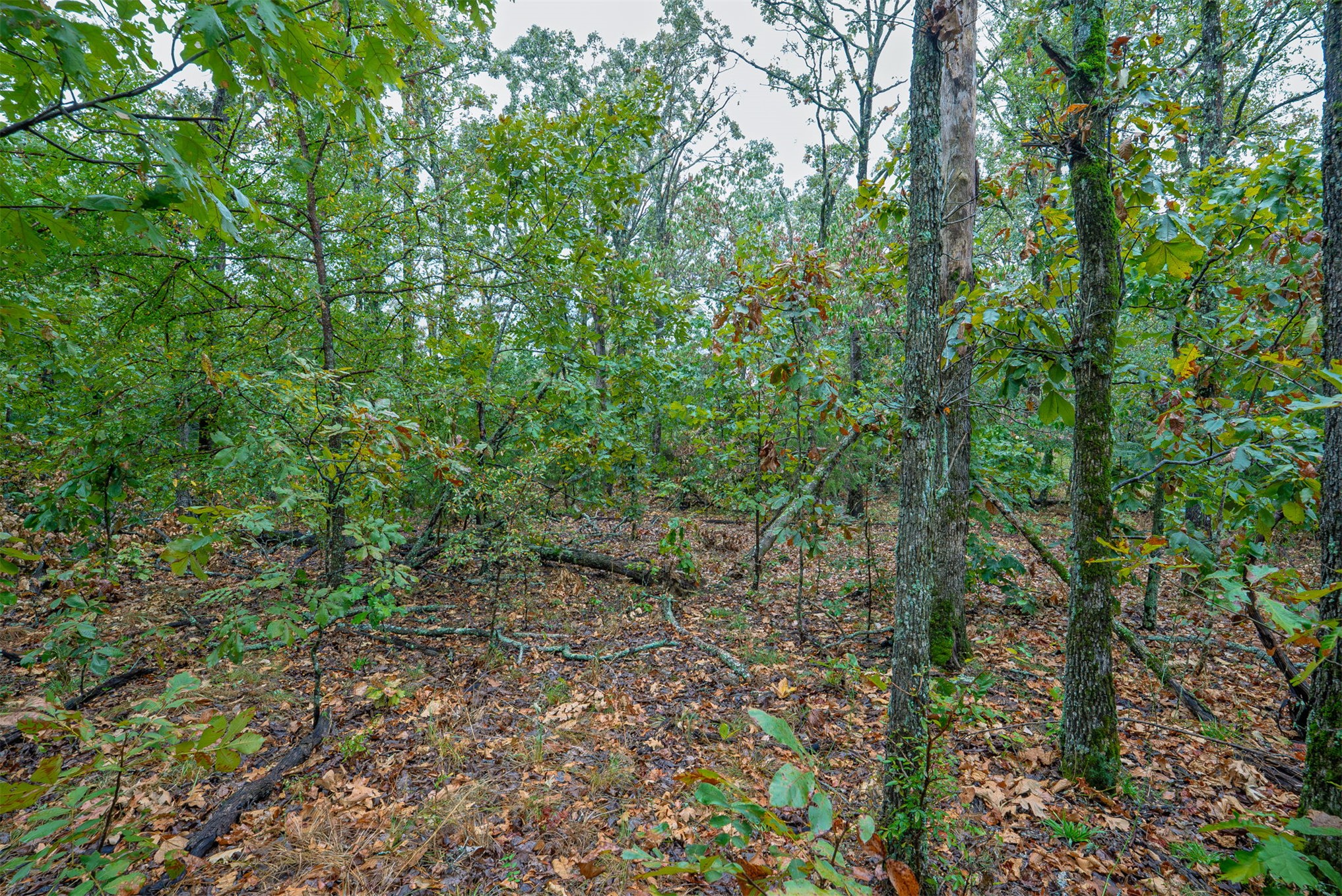 20 E 804 Road Property Photo 17