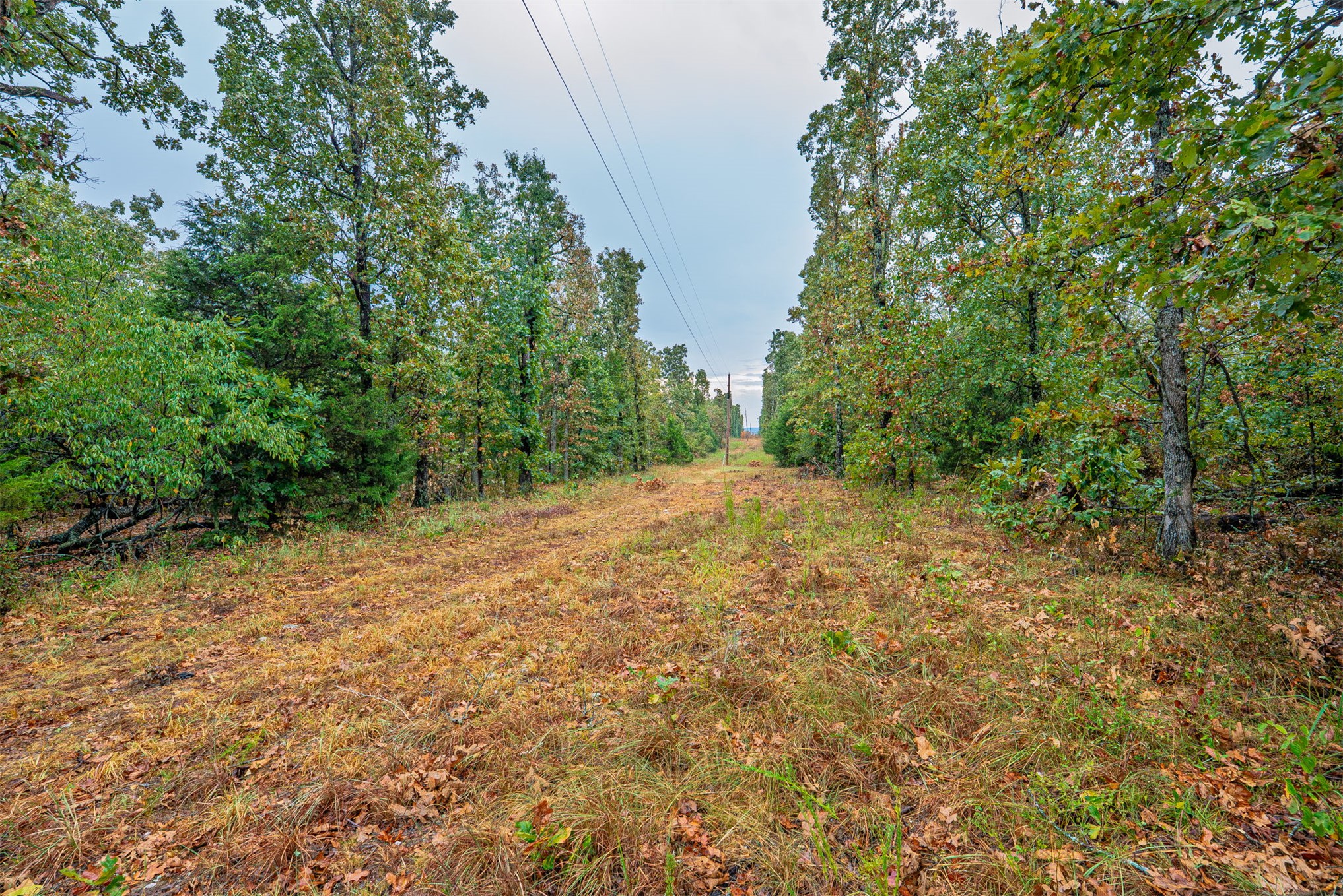20 E 804 Road Property Photo 19