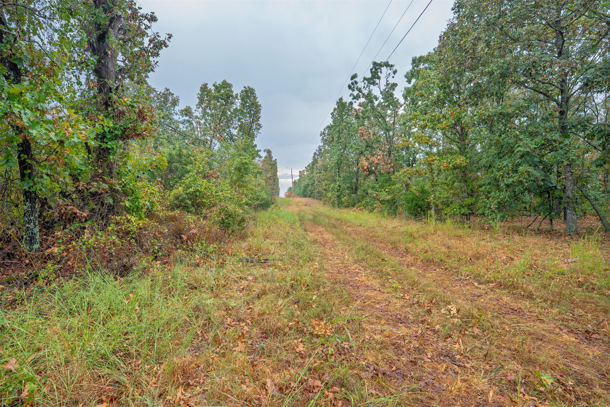 20 E 804 Road Property Photo 21