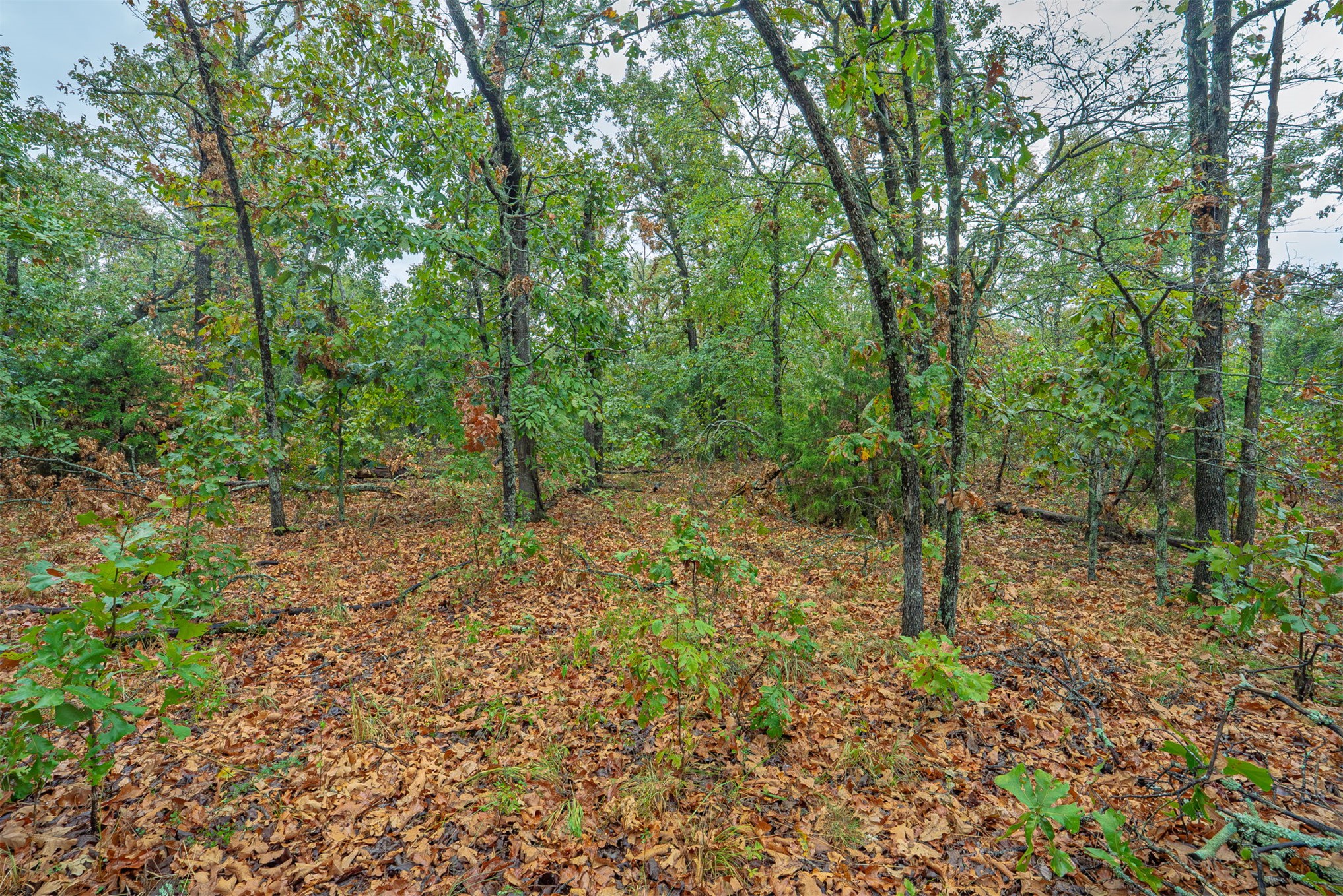 20 E 804 Road Property Photo 22