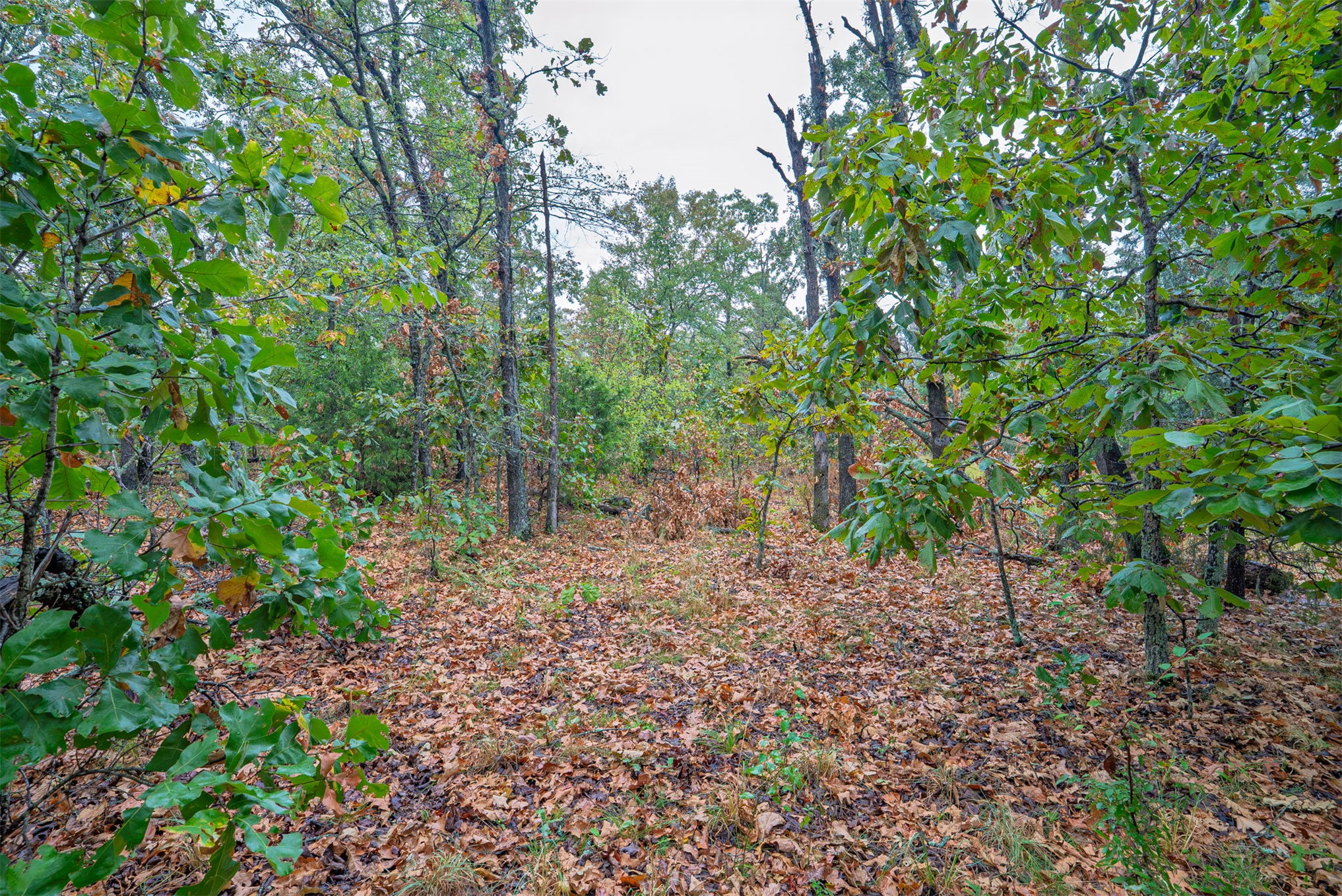 20 E 804 Road Property Photo 23