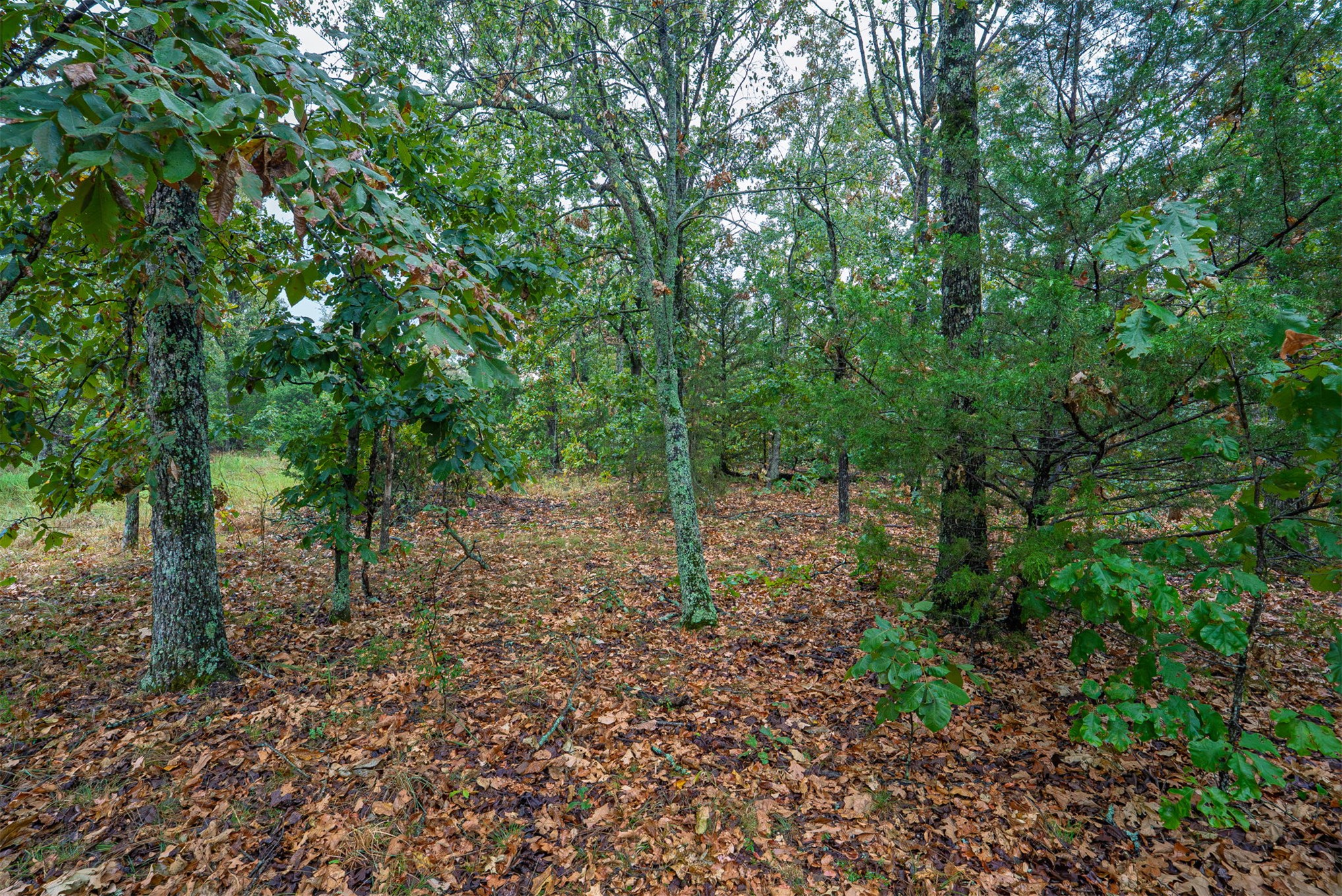 20 E 804 Road Property Photo 24