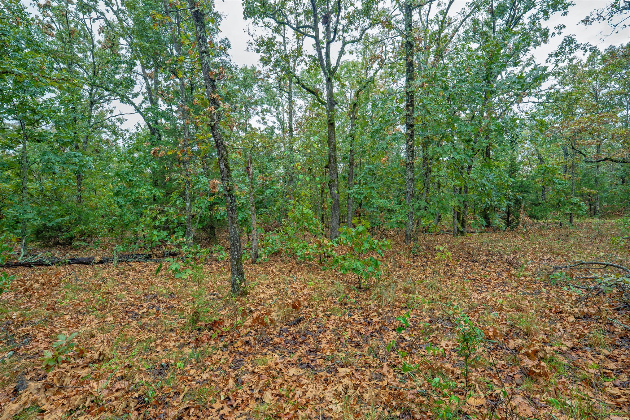 20 E 804 Road Property Photo 26