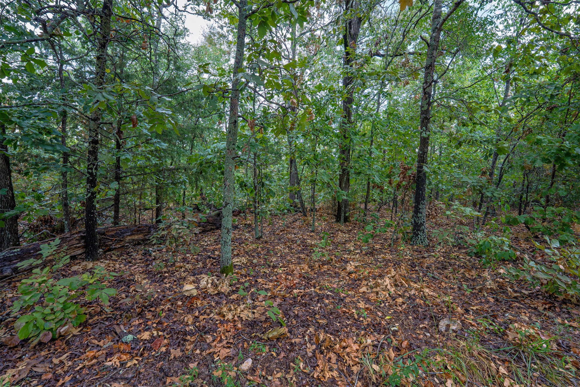 20 E 804 Road Property Photo 27