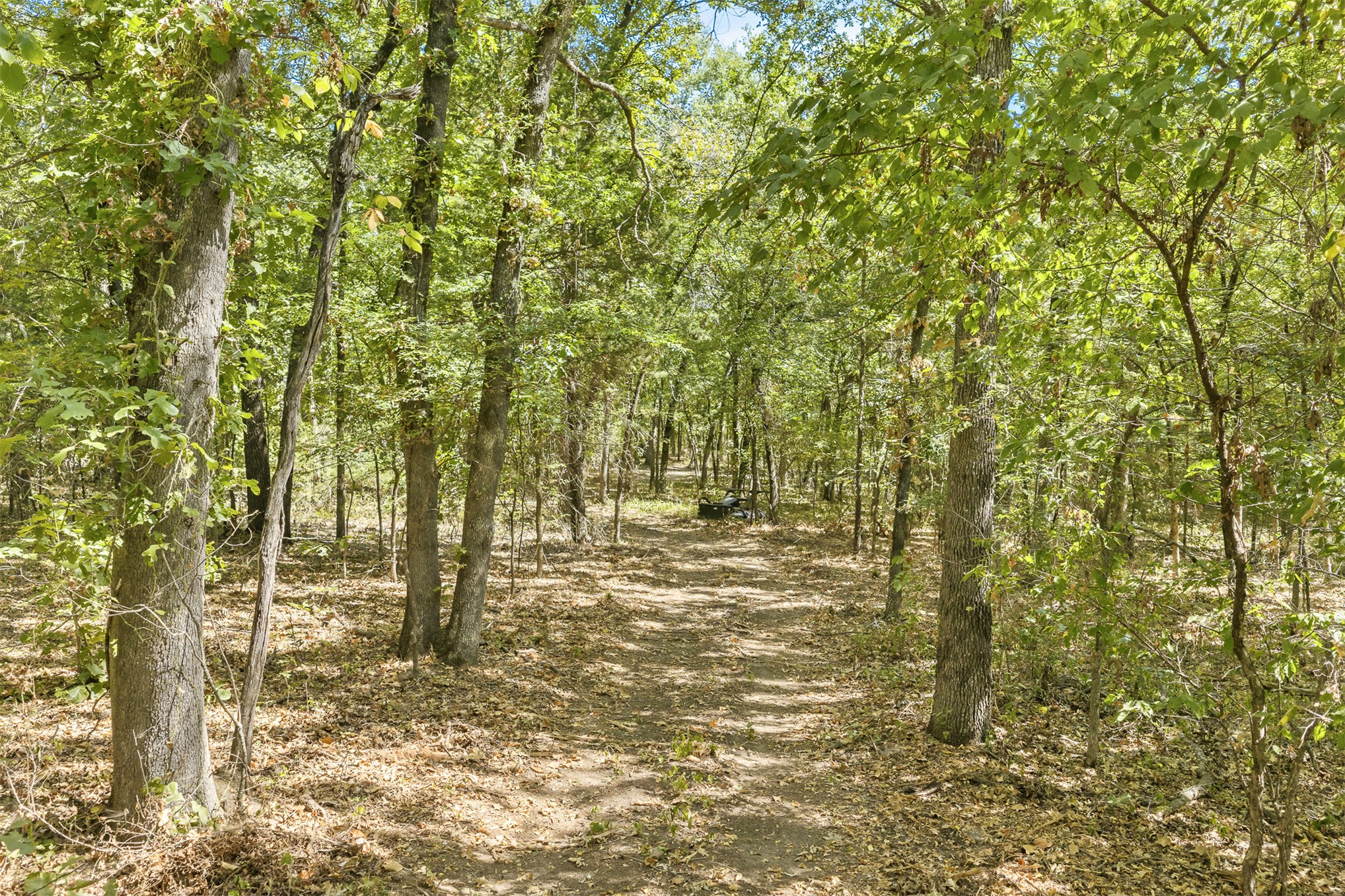 3 County Road 3480 Property Photo 6