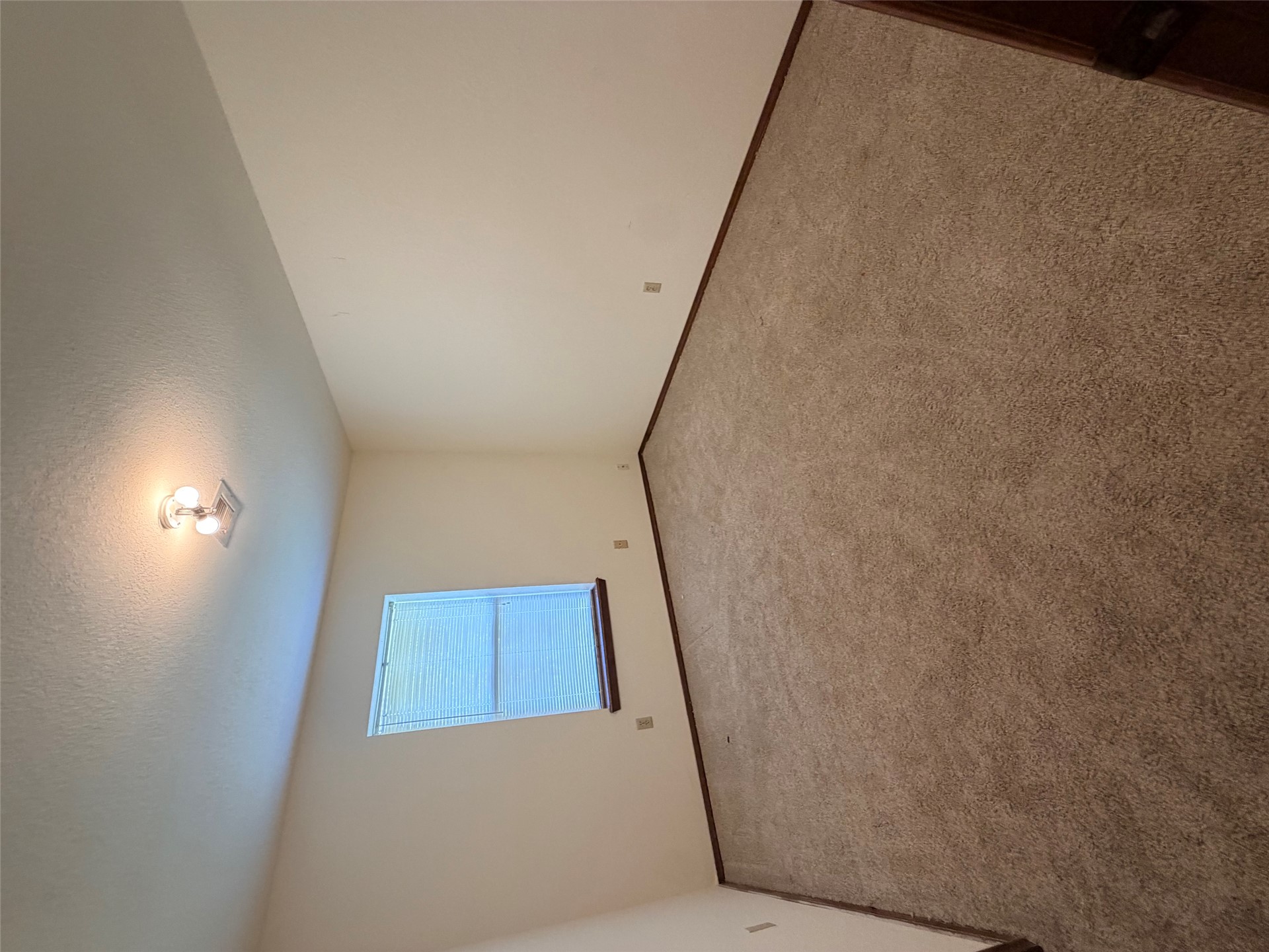 1512 Briarwood Lane Property Photo 15