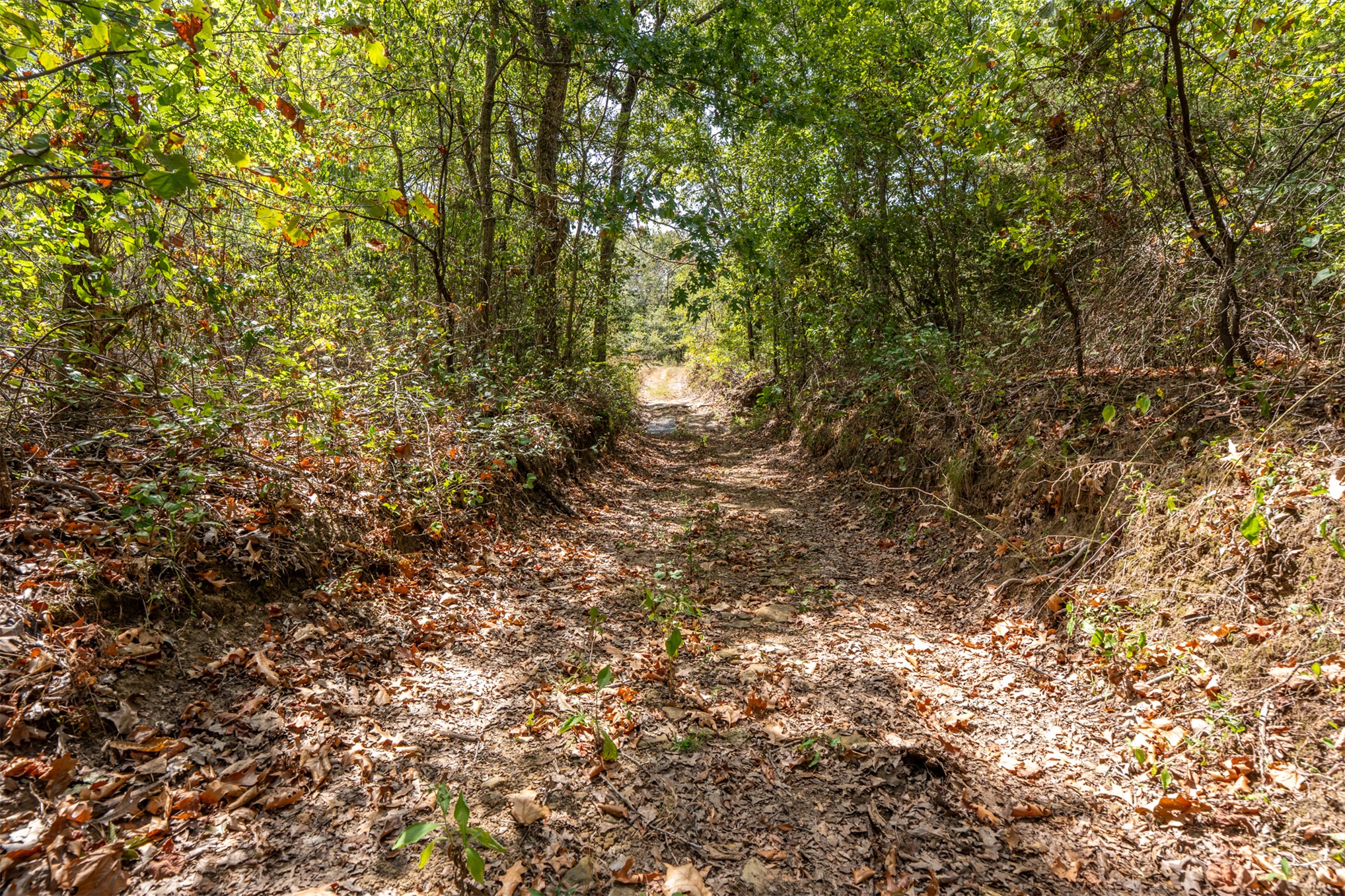 102140 N 3740 Property Photo 24