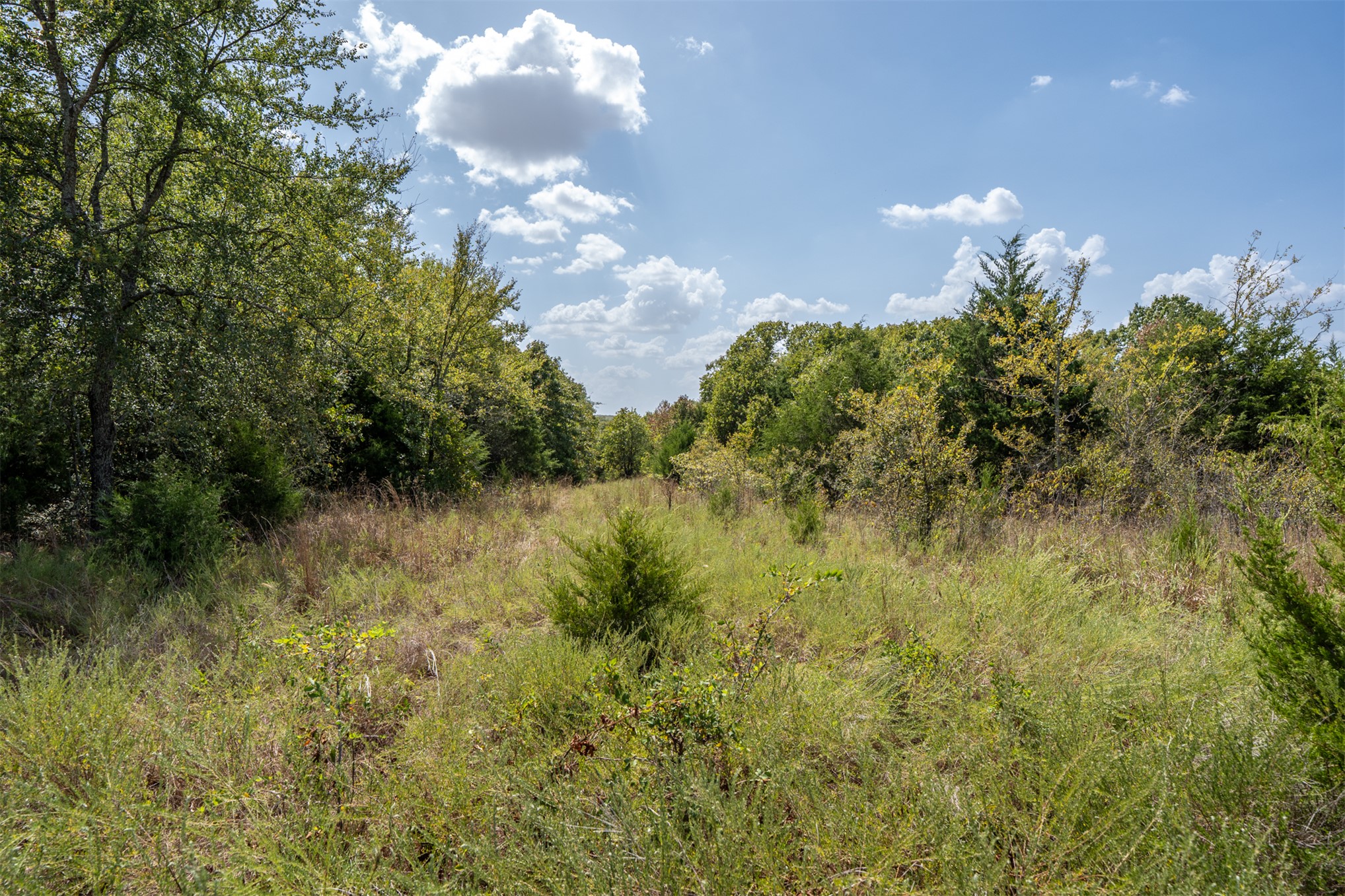102140 N 3740 Property Photo 34