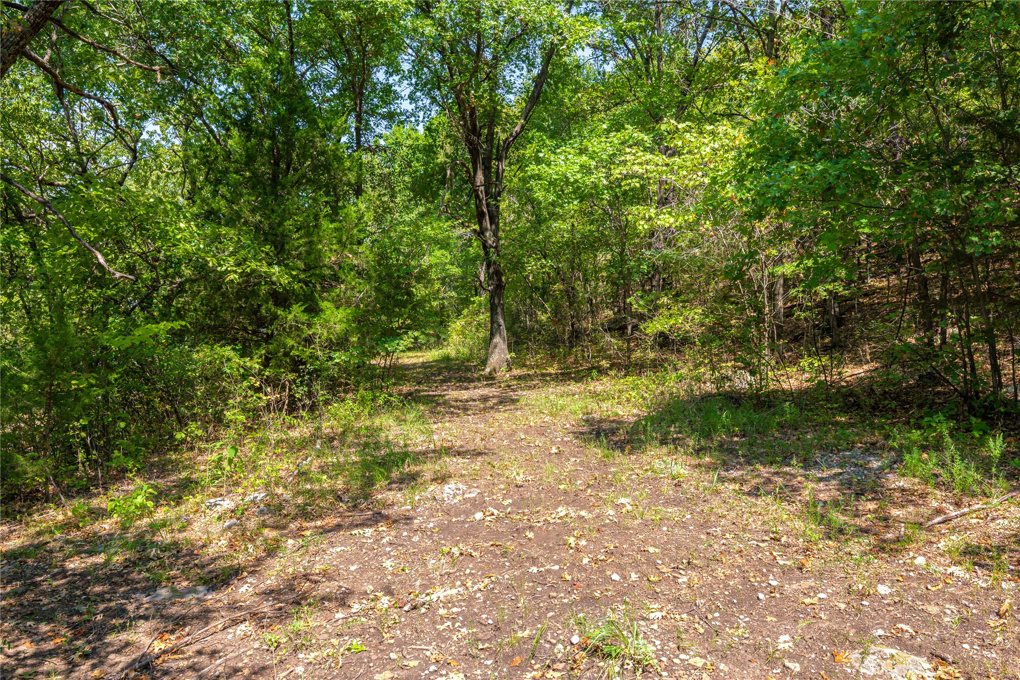 24092 S Black Valley Road Property Photo 58