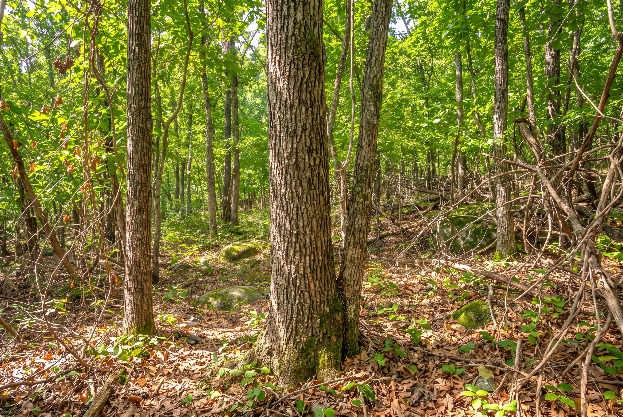 24092 S Black Valley Road Property Photo 60