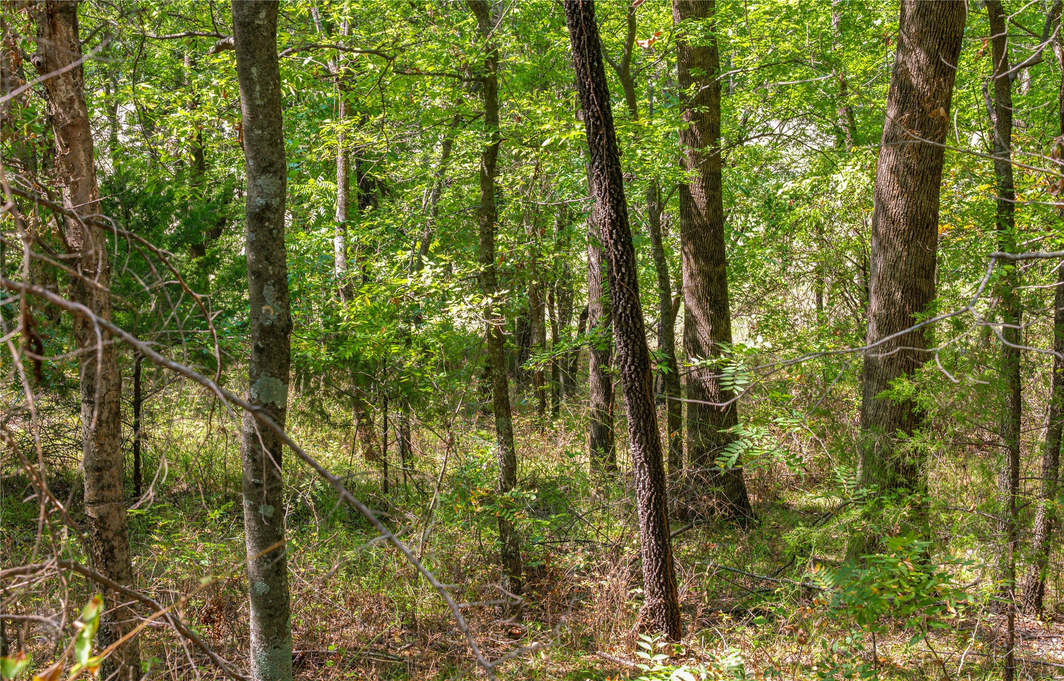 24092 S Black Valley Road Property Photo 65