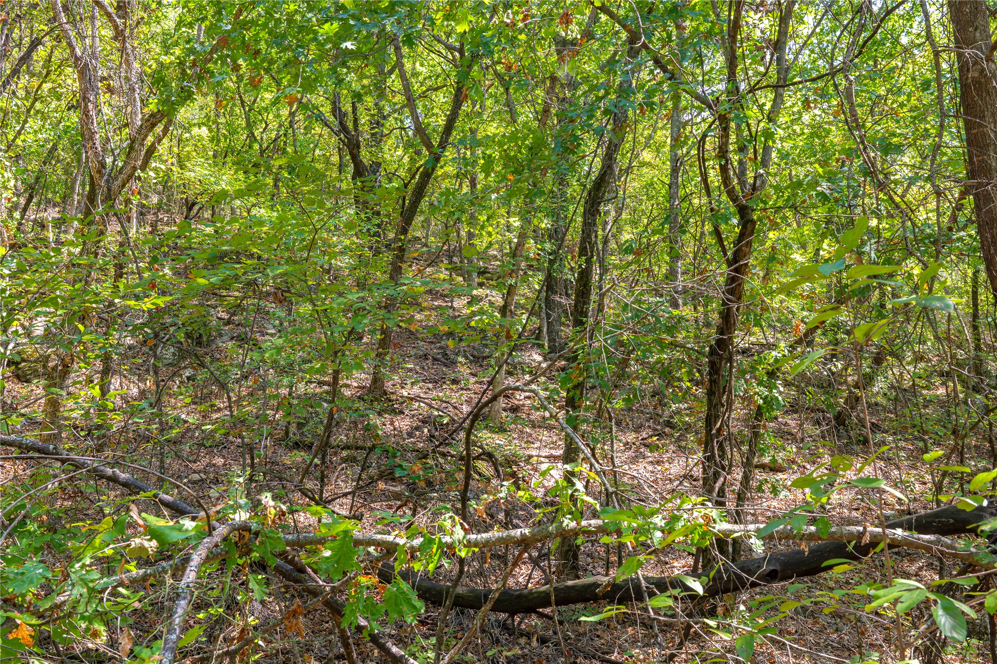 24092 S Black Valley Road Property Photo 66