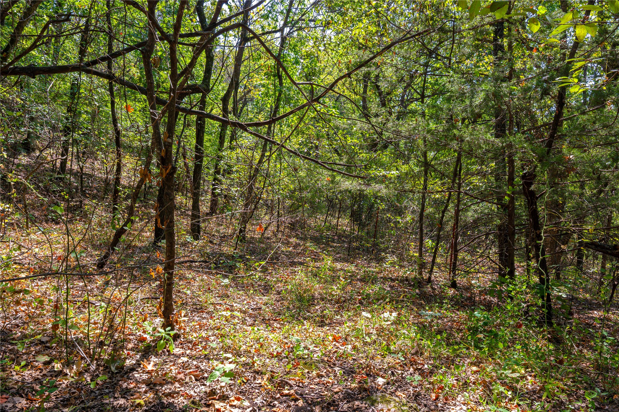 24092 S Black Valley Road Property Photo 67
