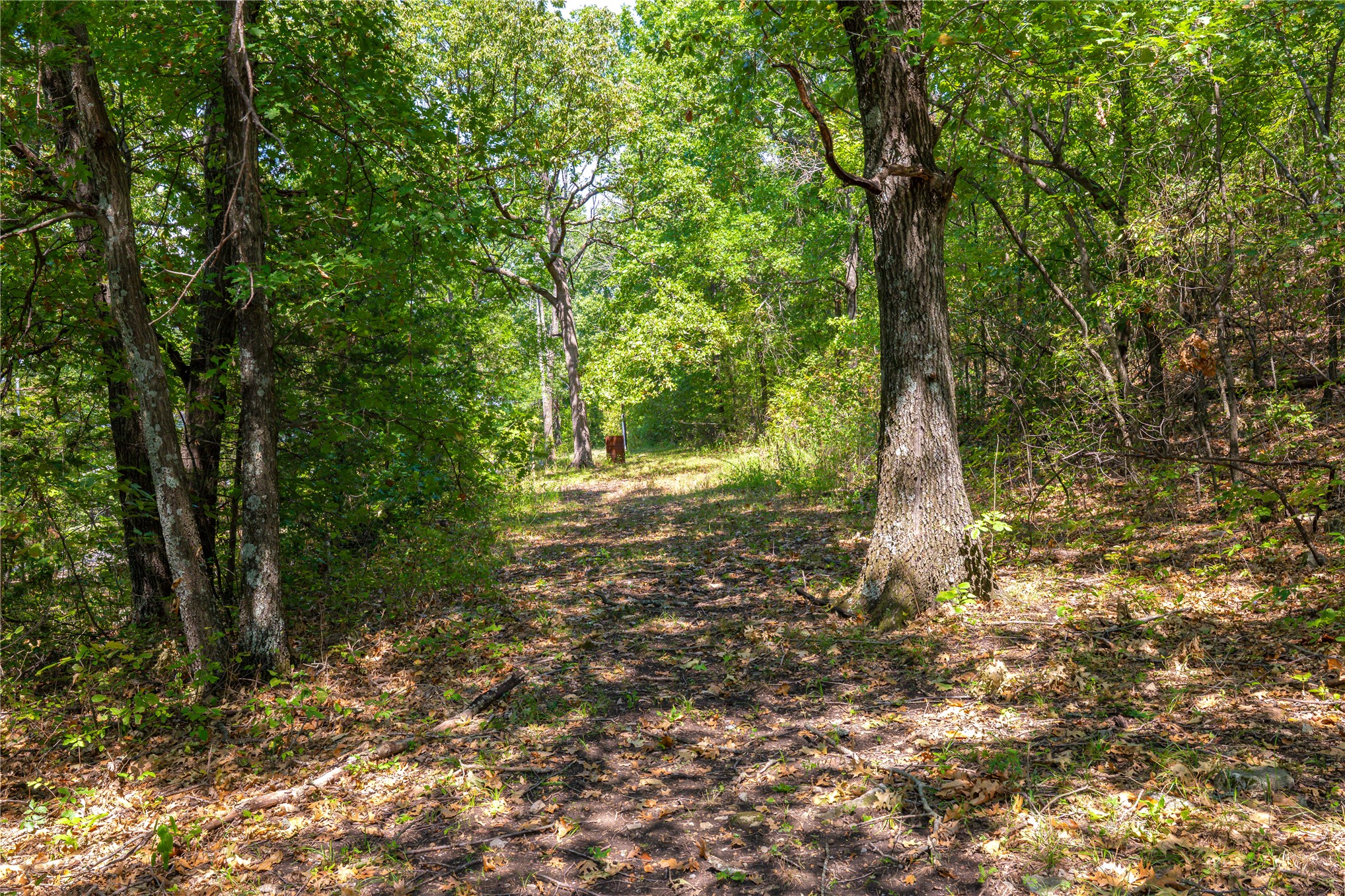 24092 S Black Valley Road Property Photo 68