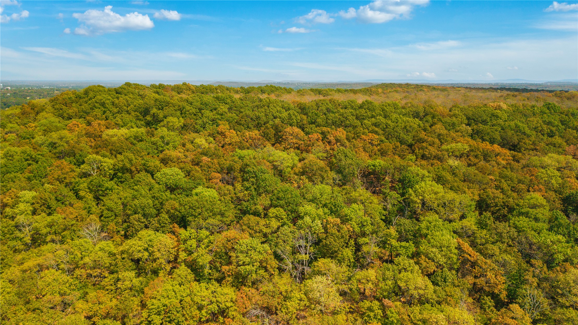24092 S Black Valley Road Property Photo 73