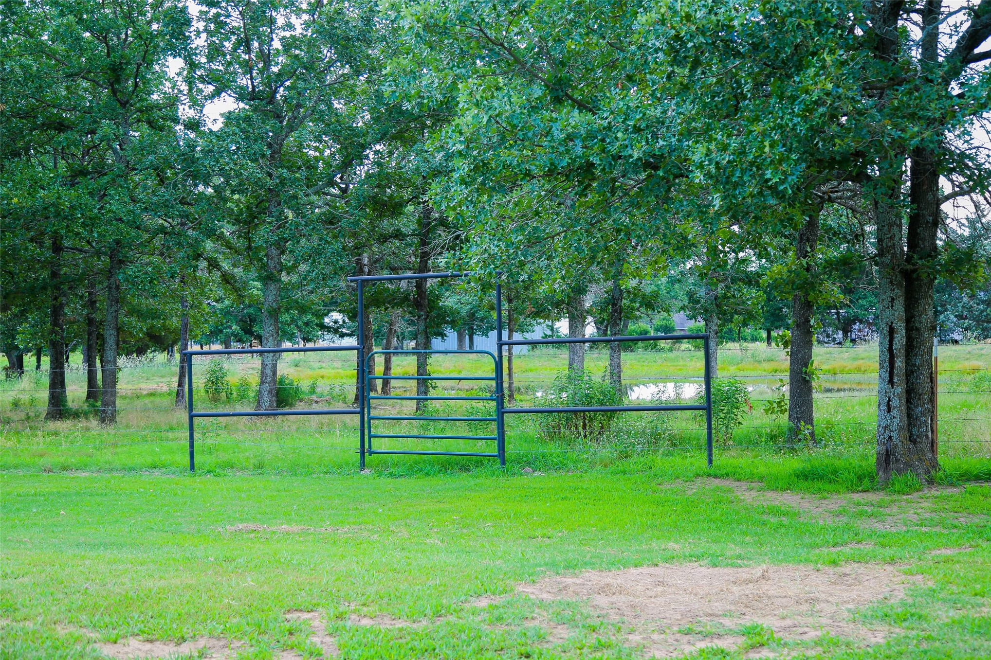 1408 Compelube Road Property Photo 5