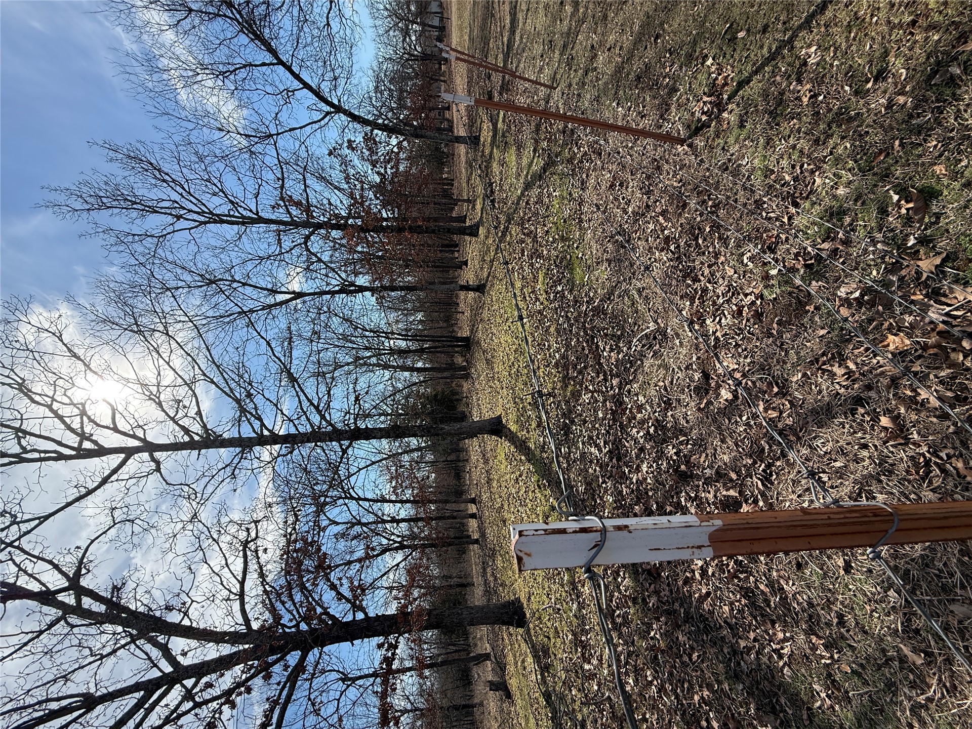 1408 Compelube Road Property Photo 8