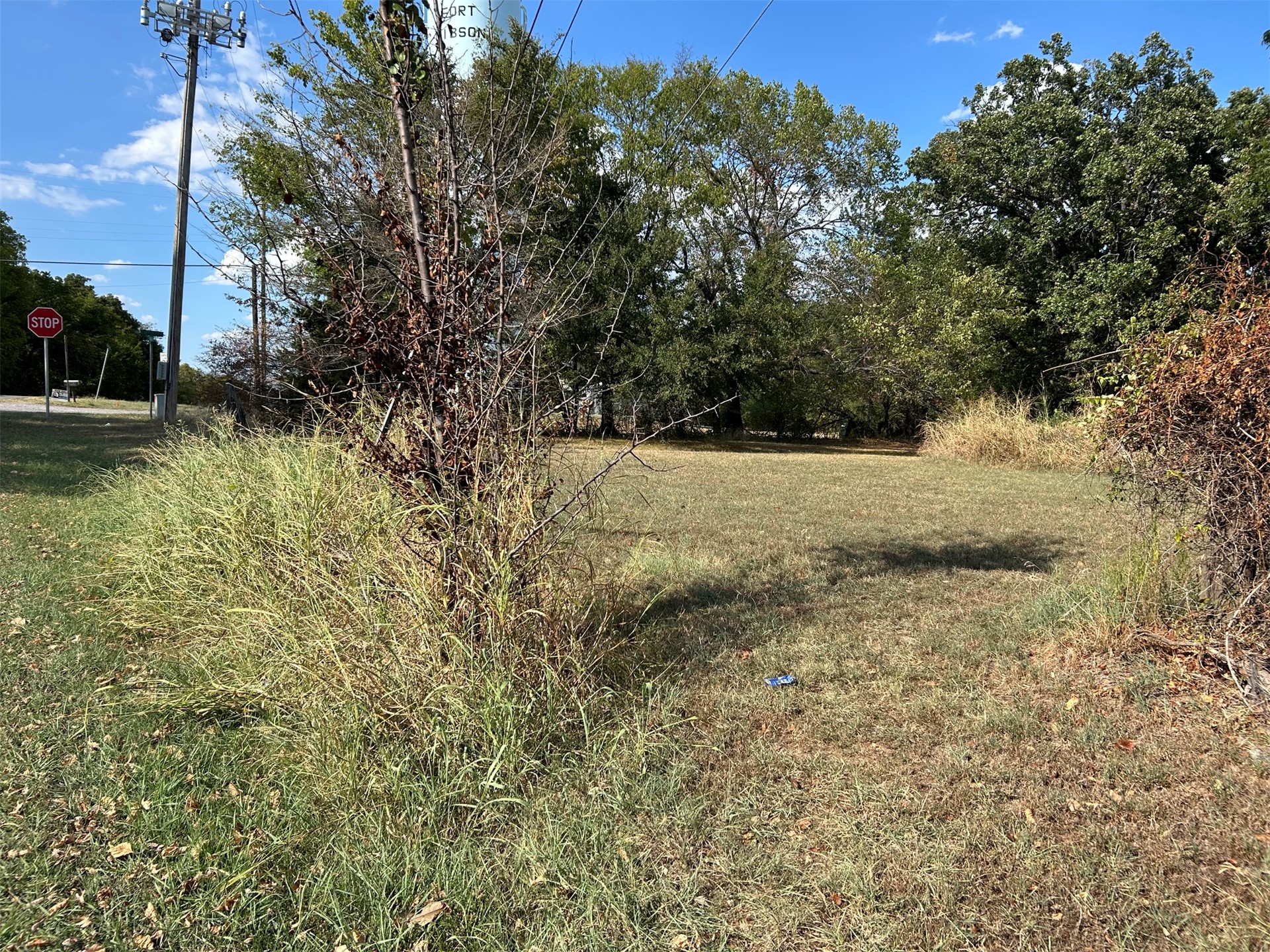 Coppinger Street Property Photo 1