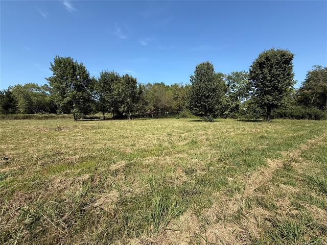 1005 Kershaw Drive Property Photo 4
