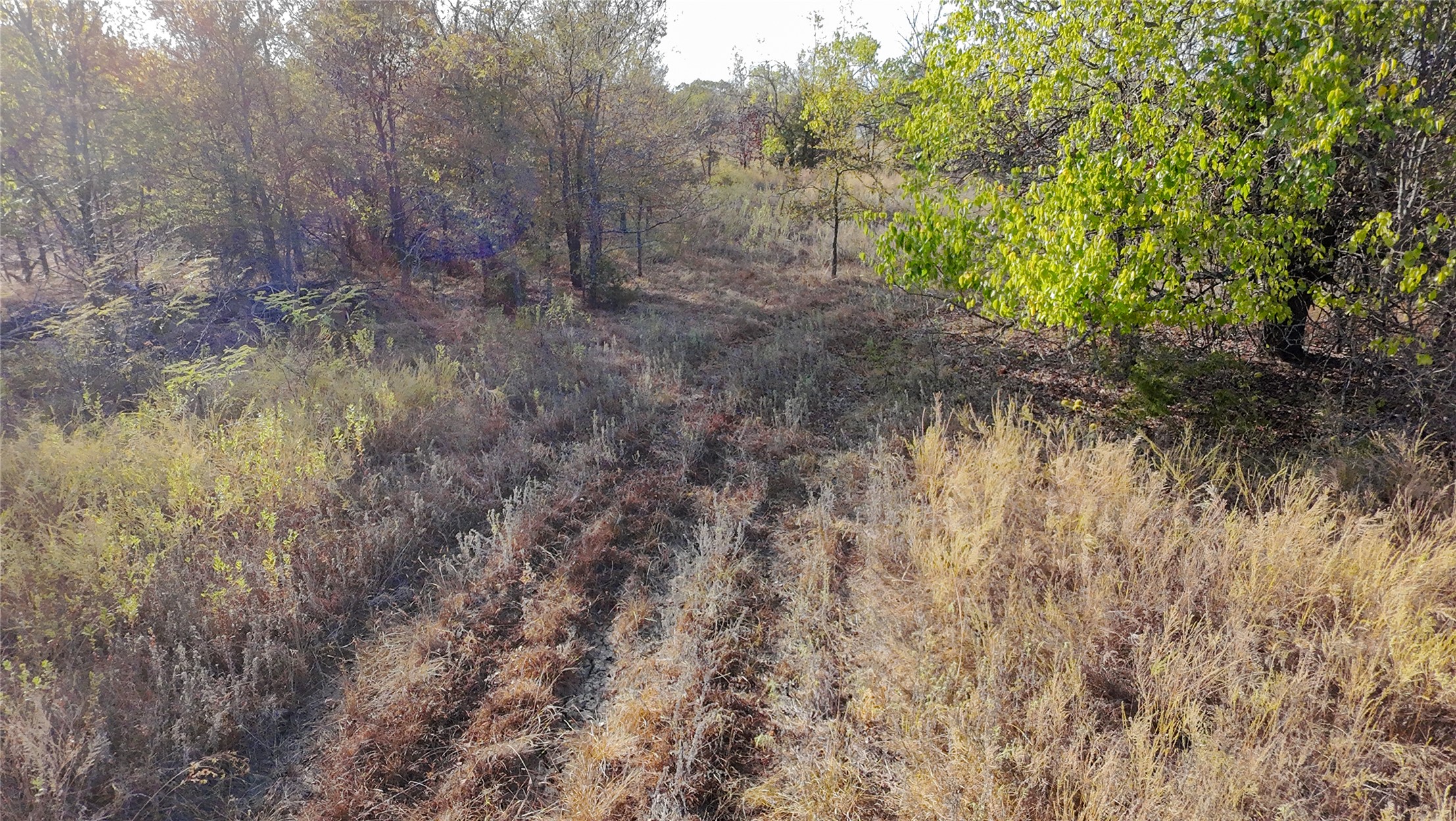 Creek Street Property Photo 10