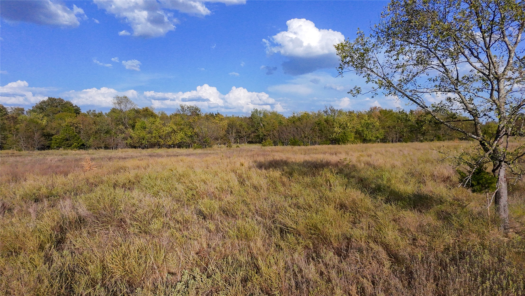 Creek Street Property Photo 15