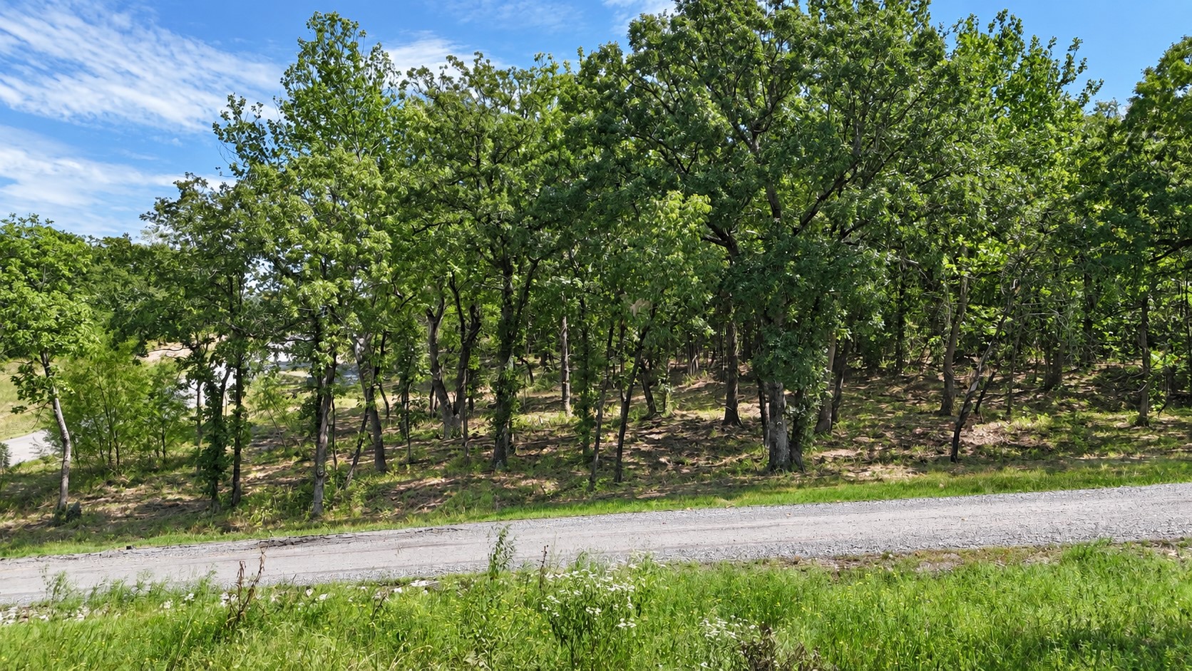 213 Patriot Pointe Road Property Photo 3