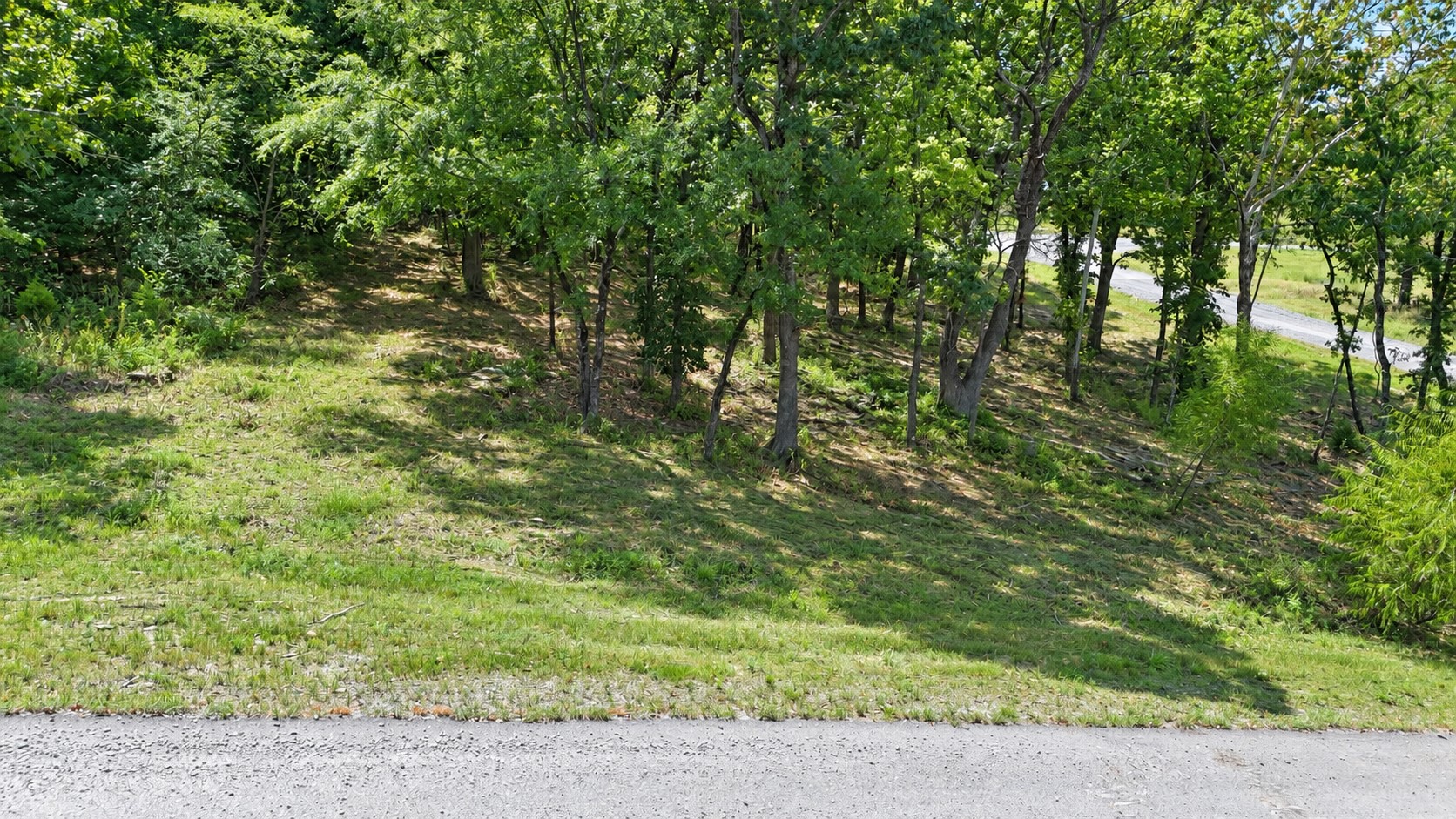 213 Patriot Pointe Road Property Photo 4