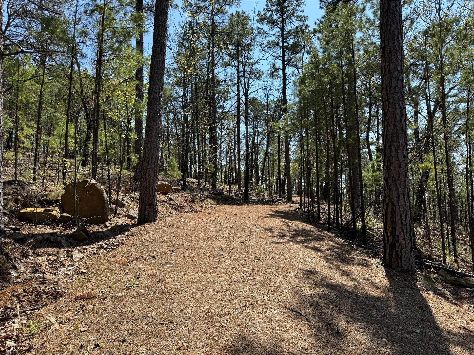 018 Timber Ridge Road Property Photo 4