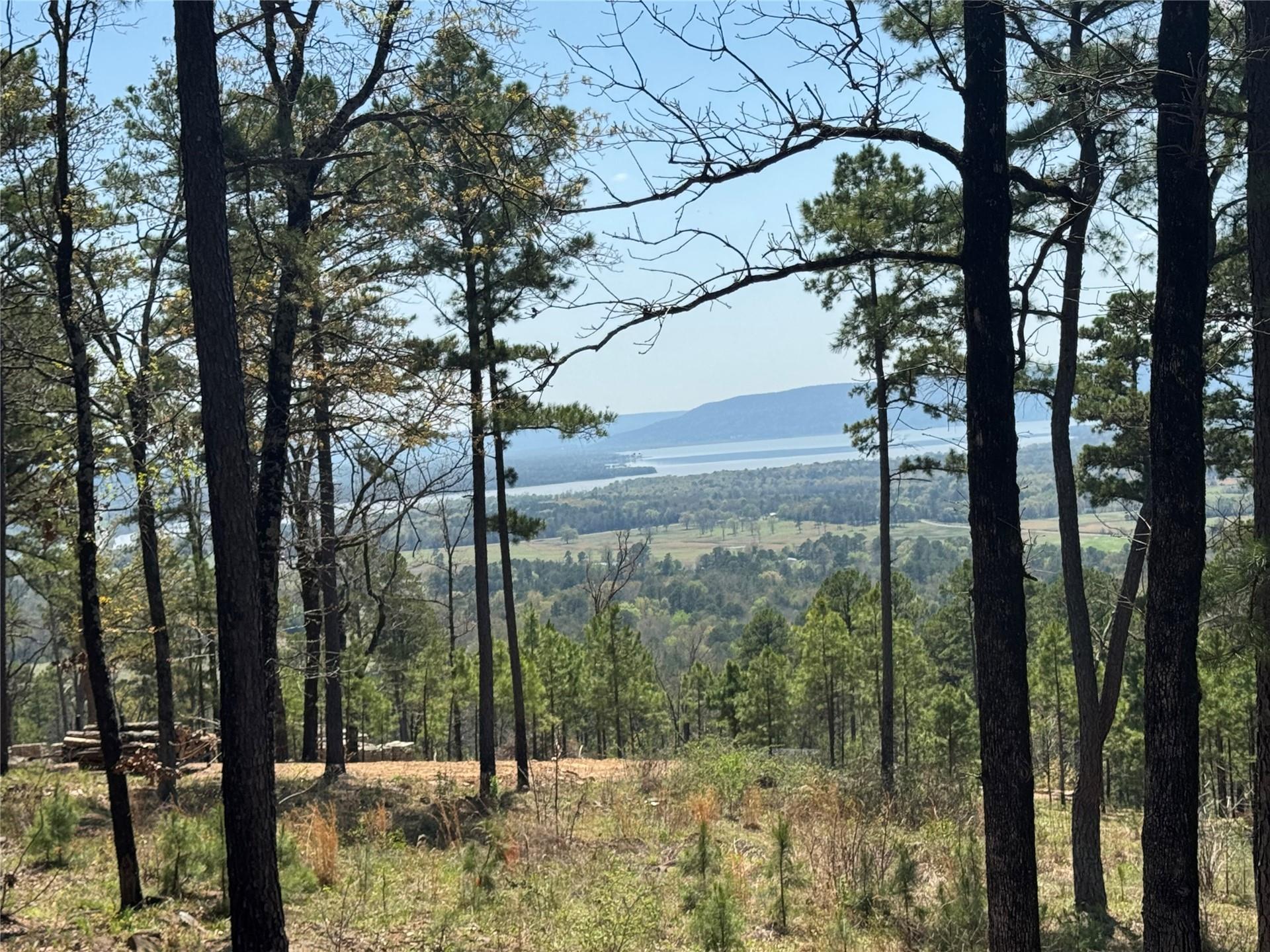 018 Timber Ridge Road Property Photo 5