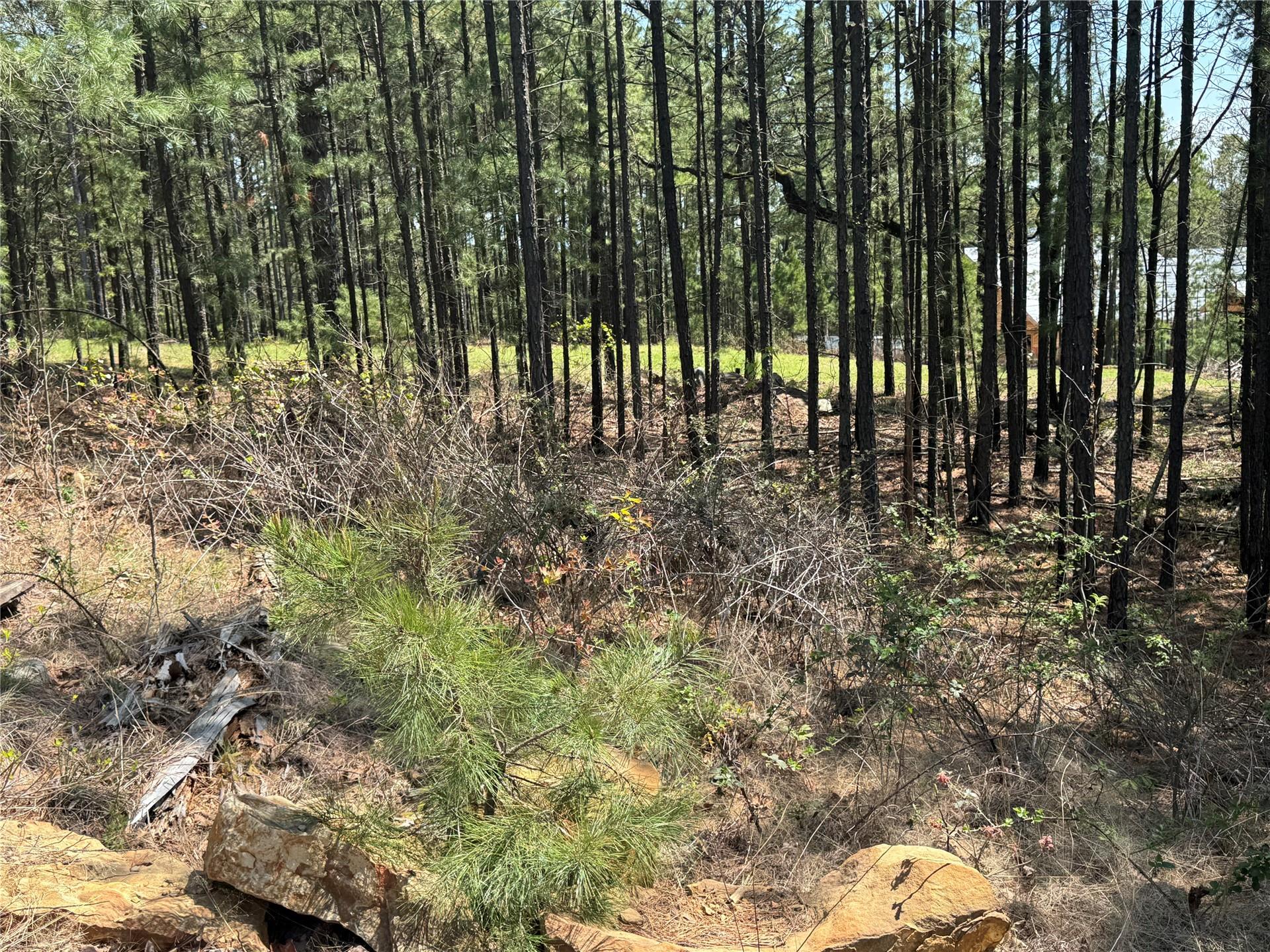 018 Timber Ridge Road Property Photo 16