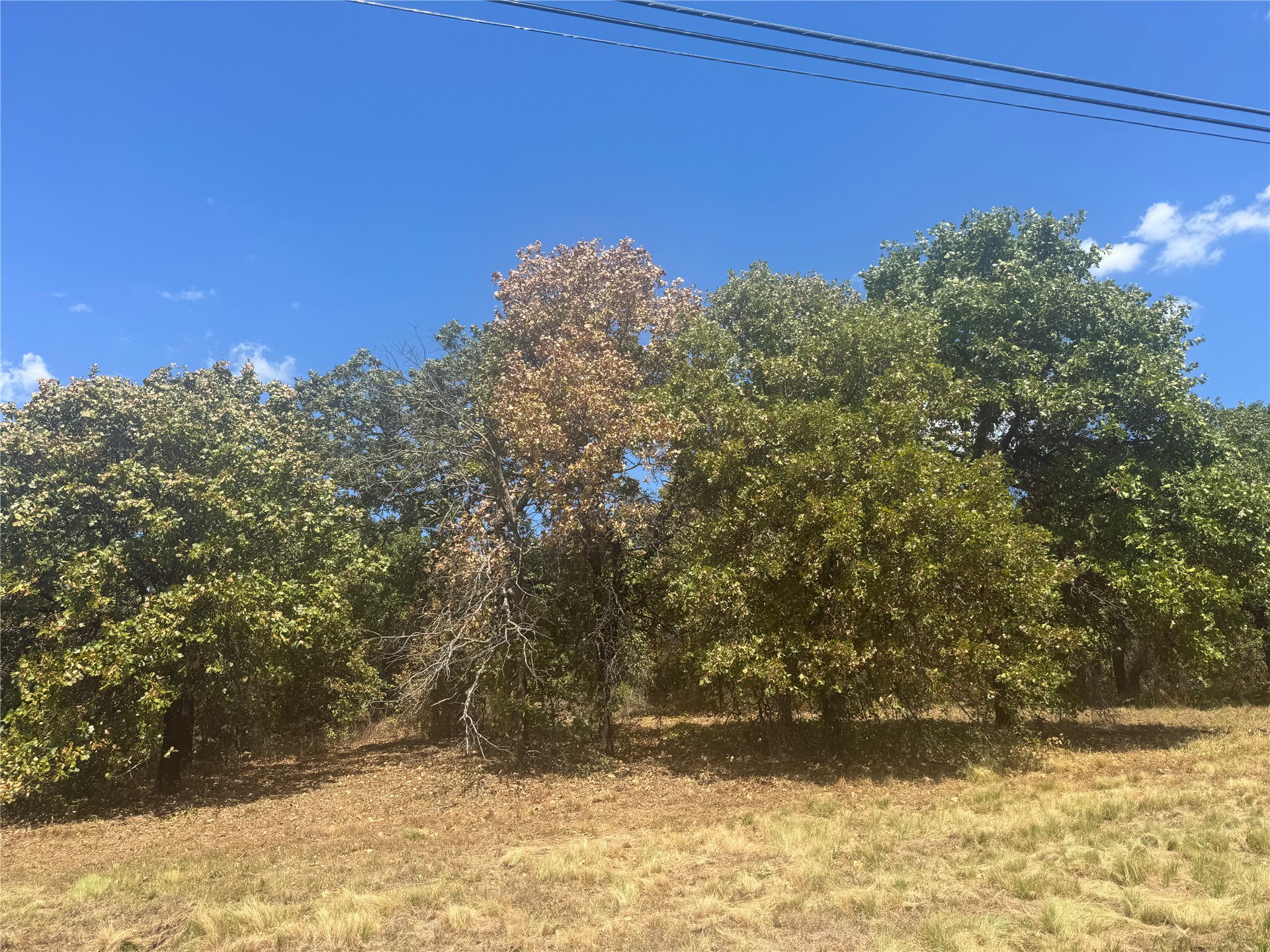 9213 W 20 Highway Property Photo 11